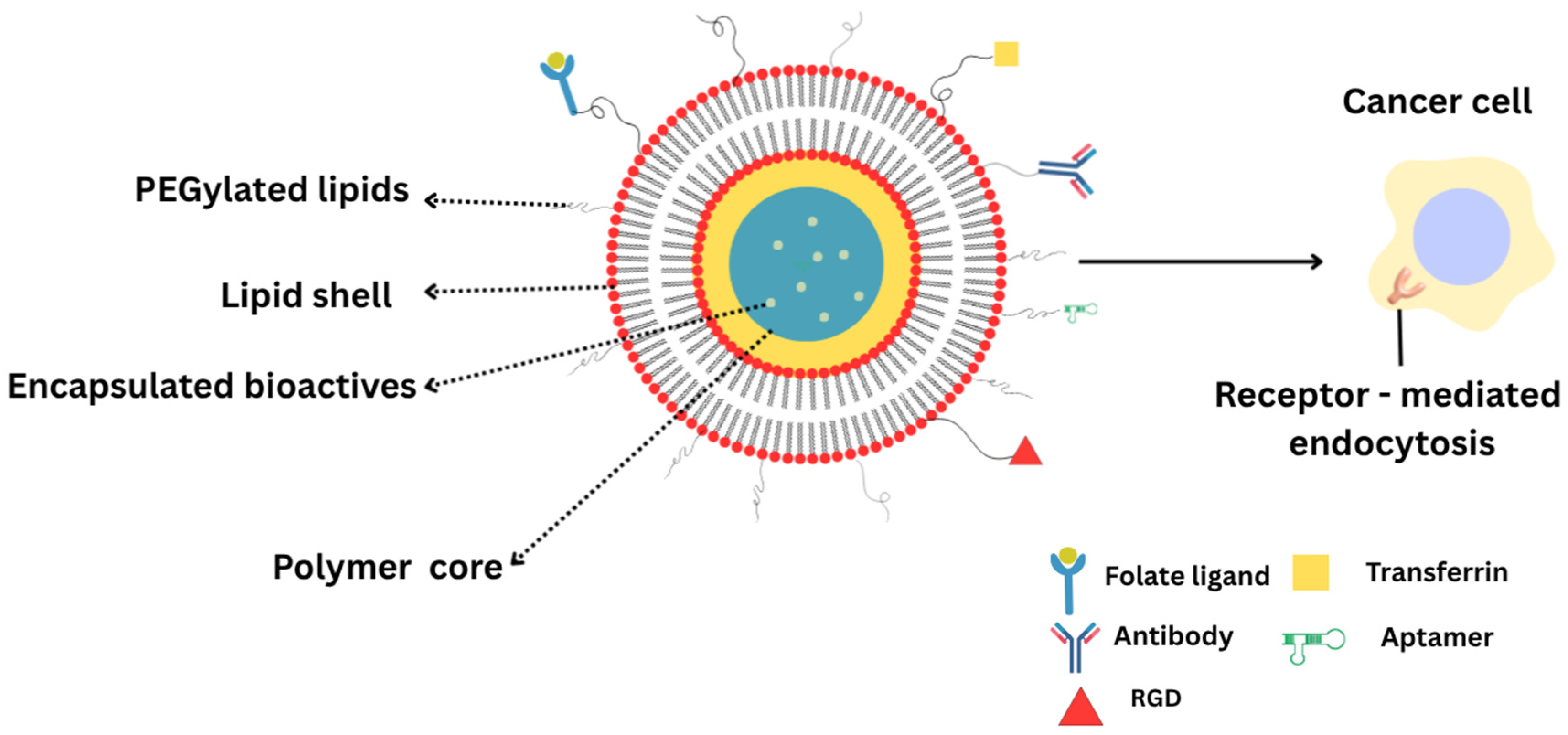 Pharmaceuticals 18 01772 g002