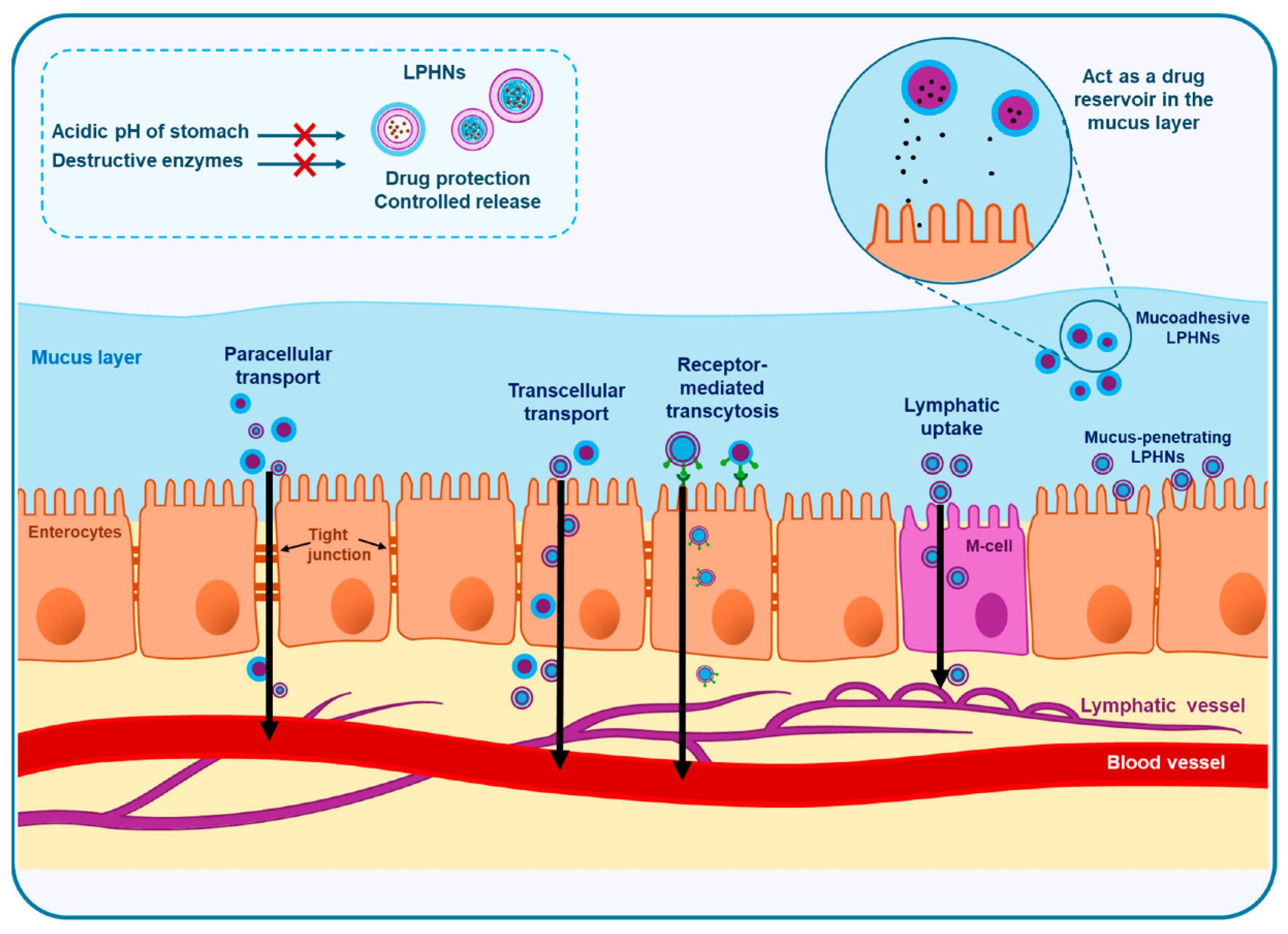 Pharmaceuticals 18 01772 g005