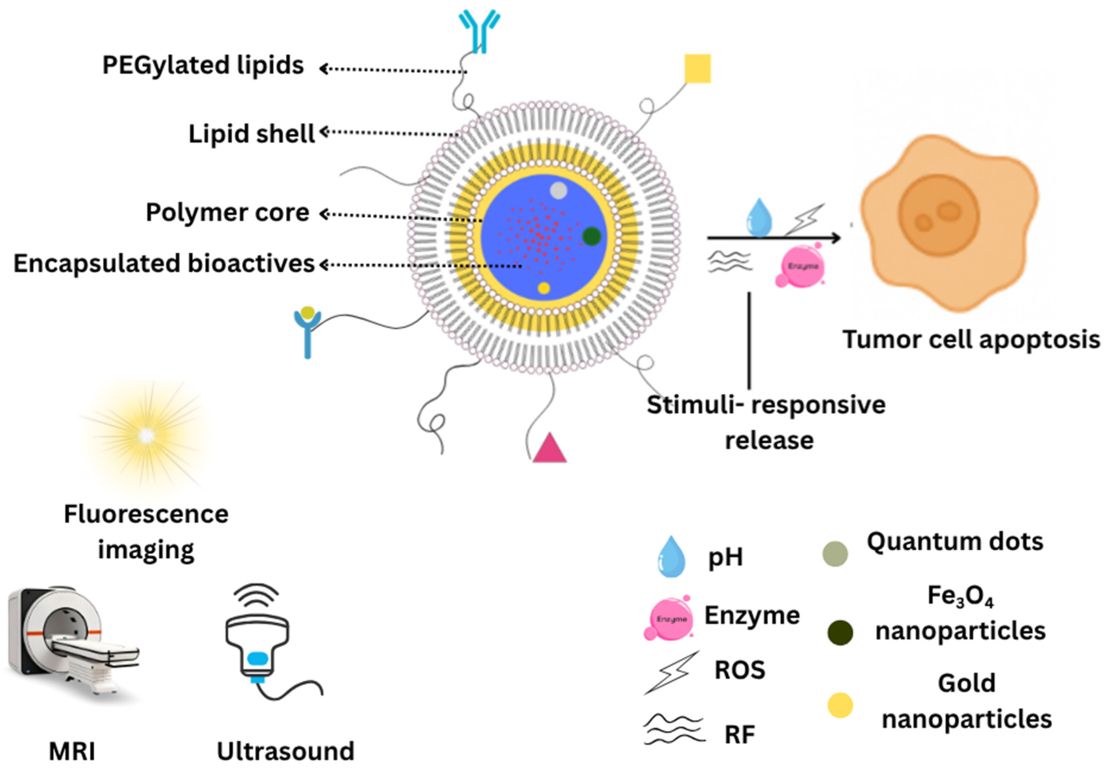 Pharmaceuticals 18 01772 g006