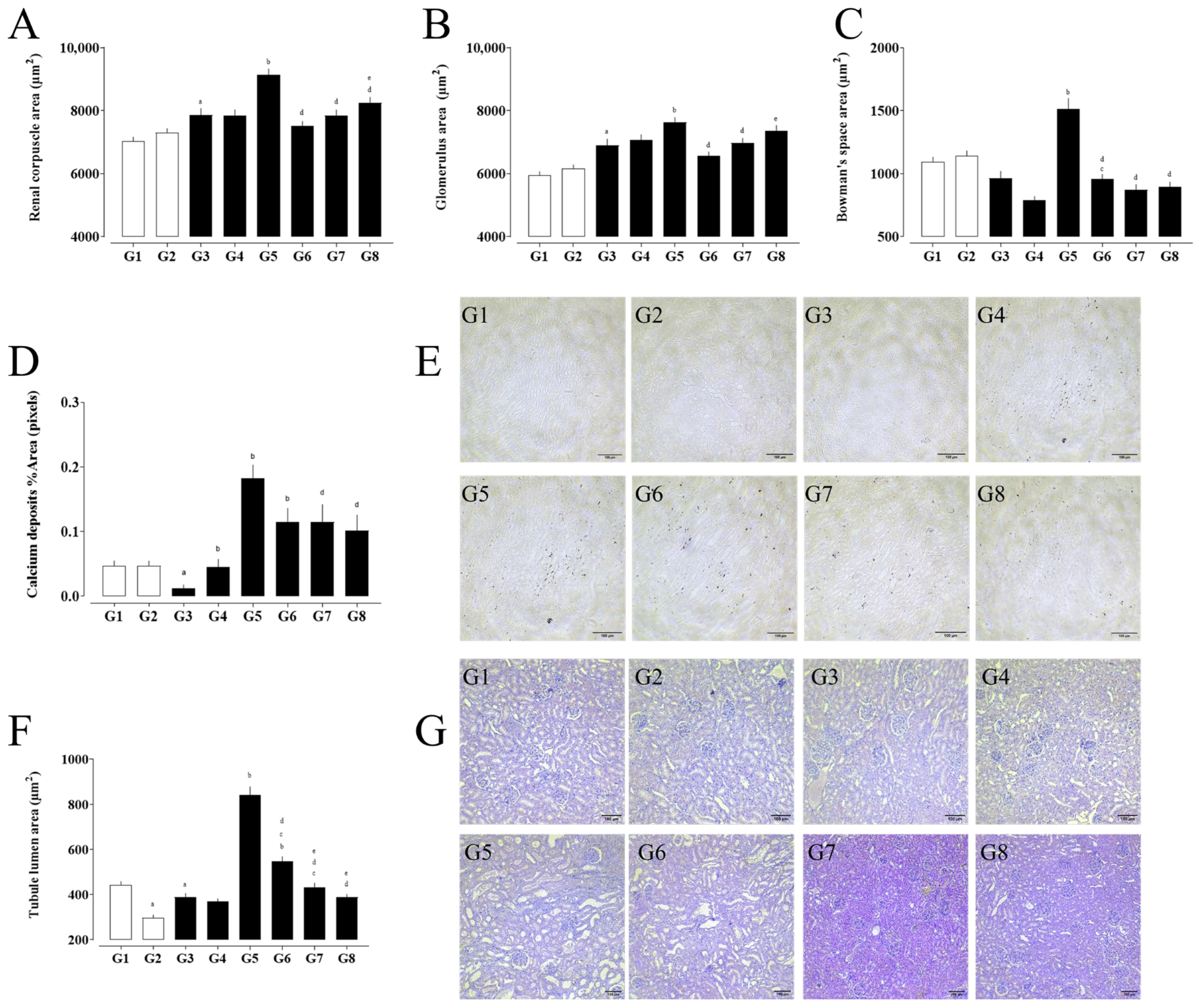 Pharmaceuticals 18 01773 g003