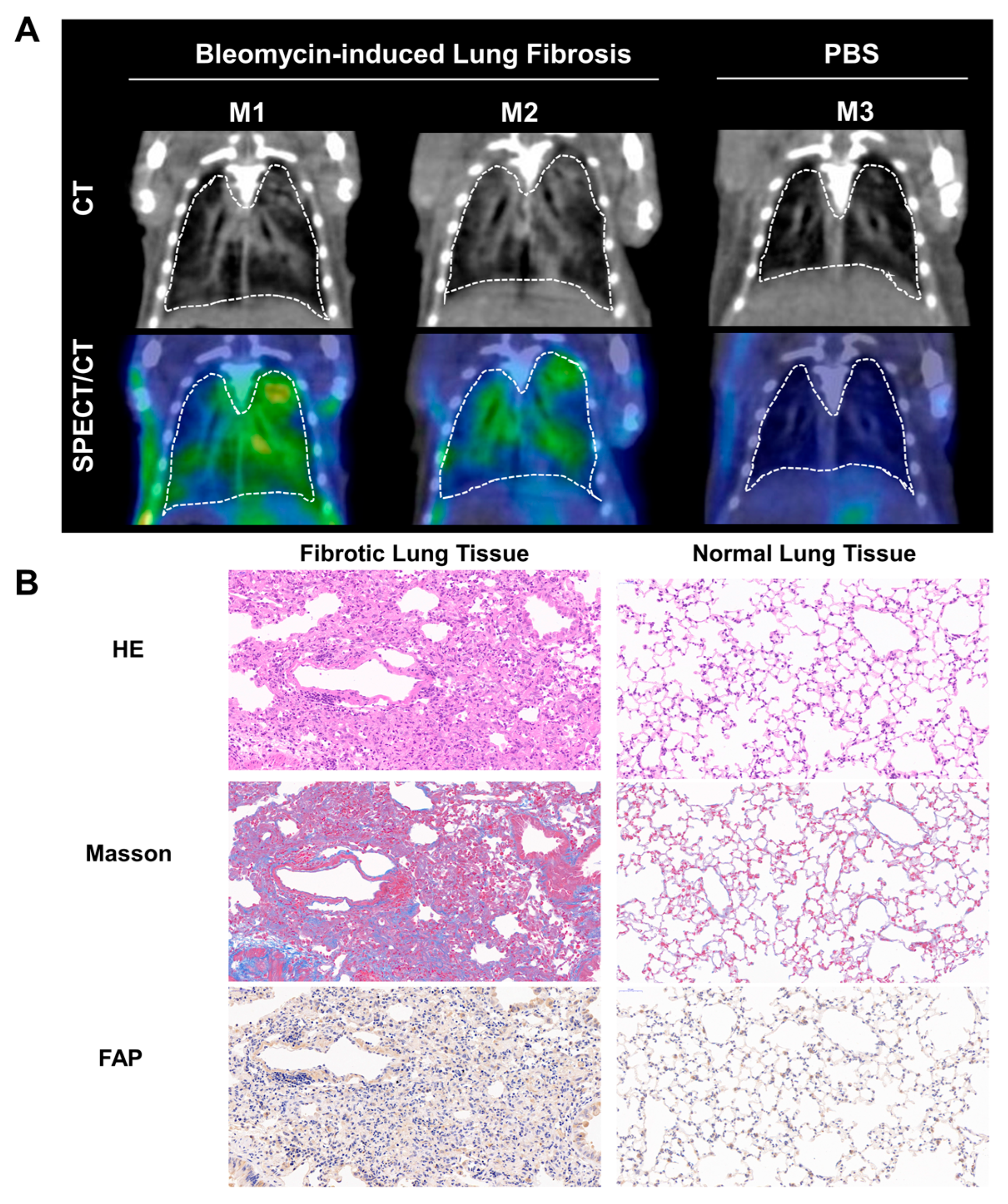 Pharmaceuticals 18 01779 g002