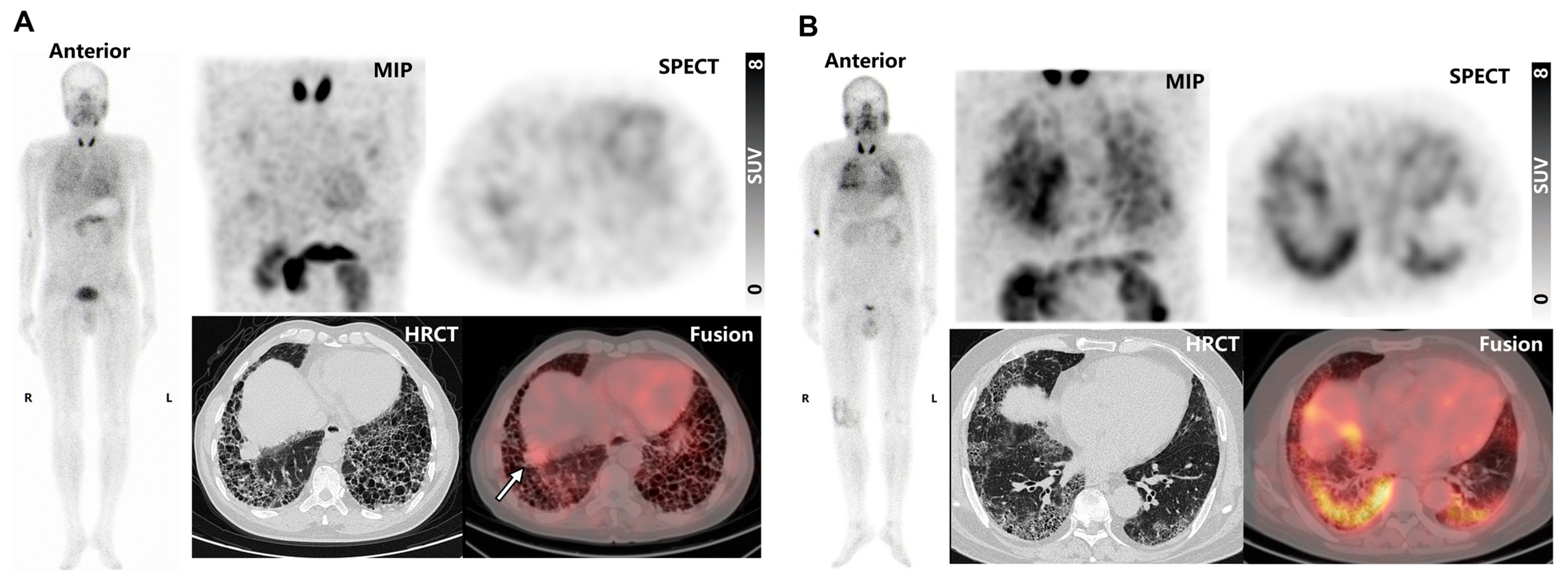 Pharmaceuticals 18 01779 g004