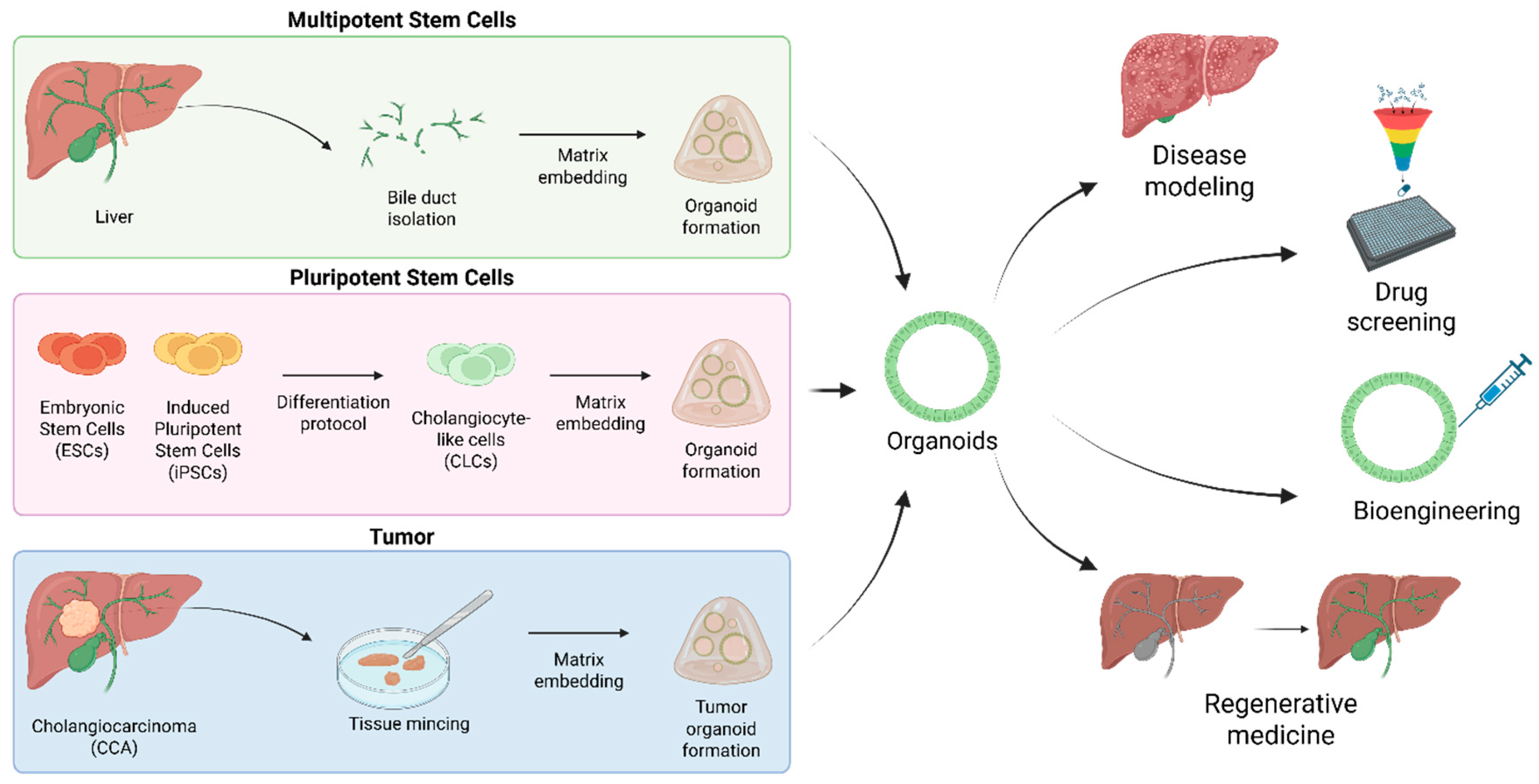 Pharmaceuticals 18 01781 g001