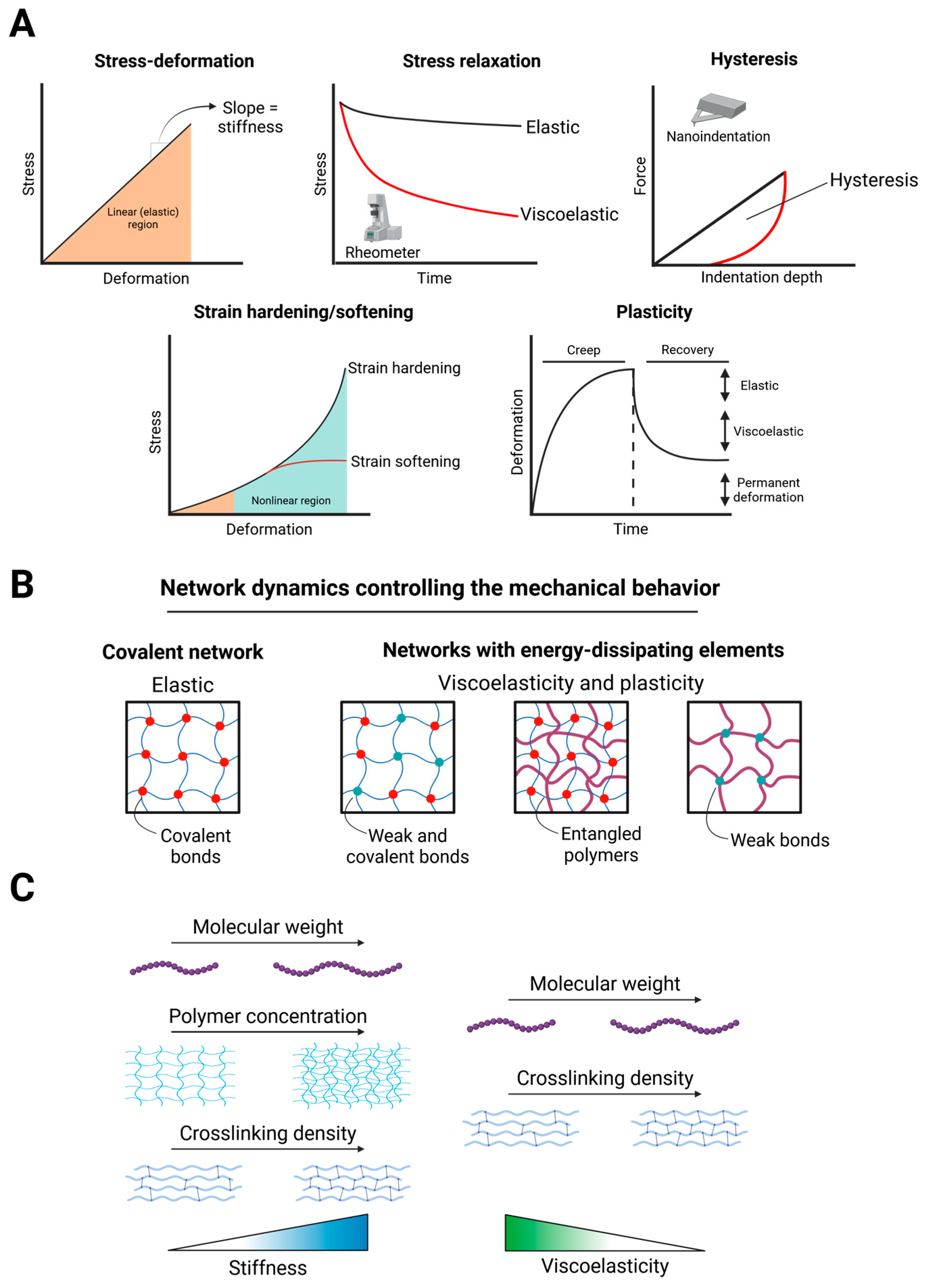 Pharmaceuticals 18 01781 g002
