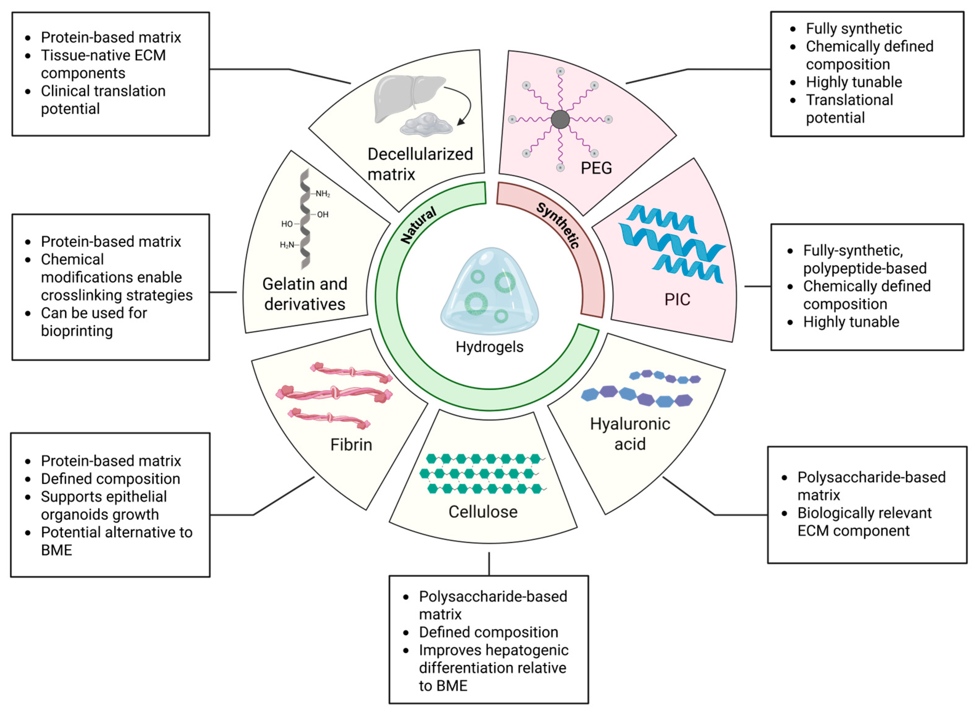 Pharmaceuticals 18 01781 g003