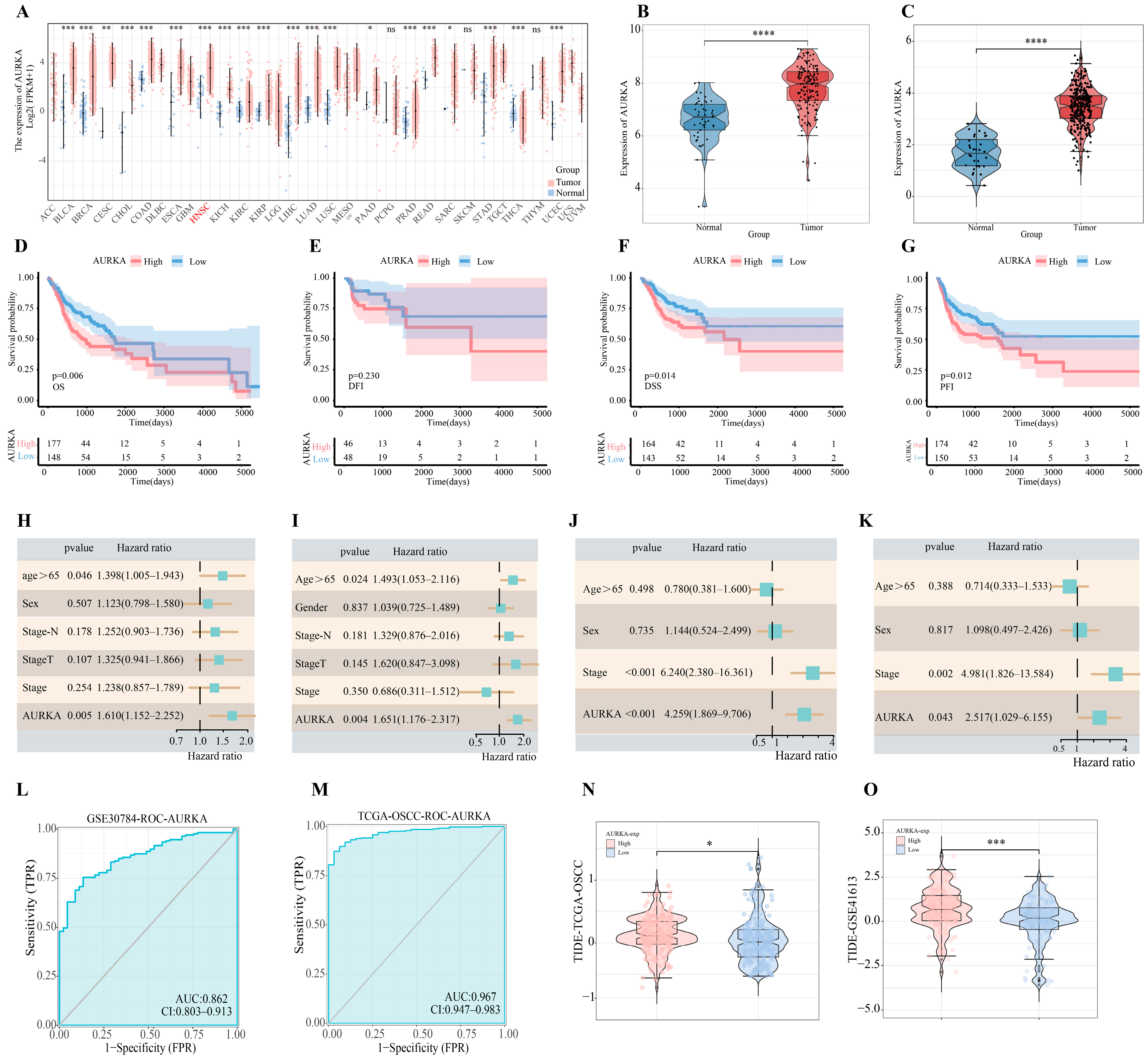 Pharmaceuticals 18 01783 g002 Pharmaceuticals 18 01783 g002