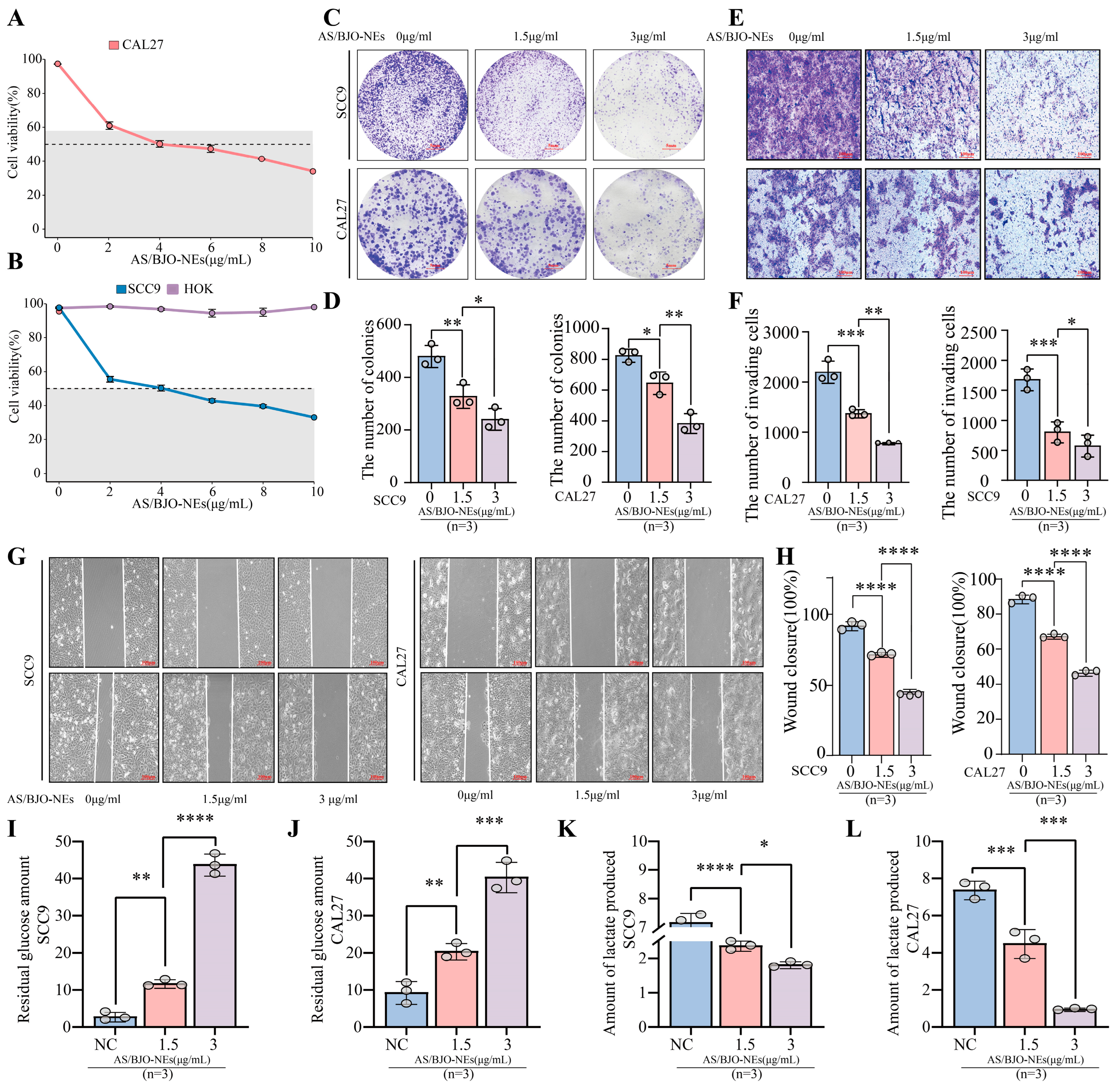 Pharmaceuticals 18 01783 g004 Pharmaceuticals 18 01783 g004