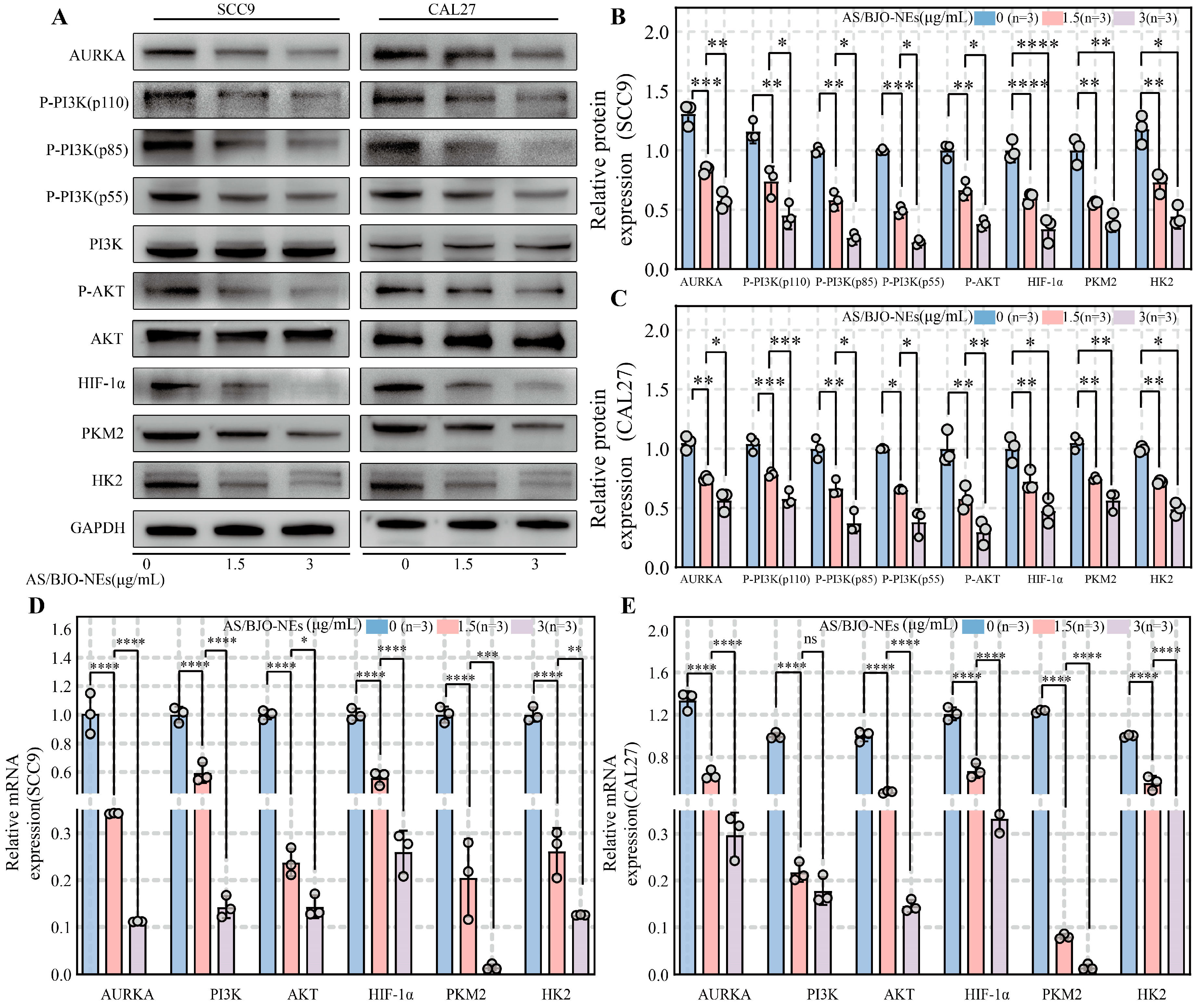 Pharmaceuticals 18 01783 g005 Pharmaceuticals 18 01783 g005