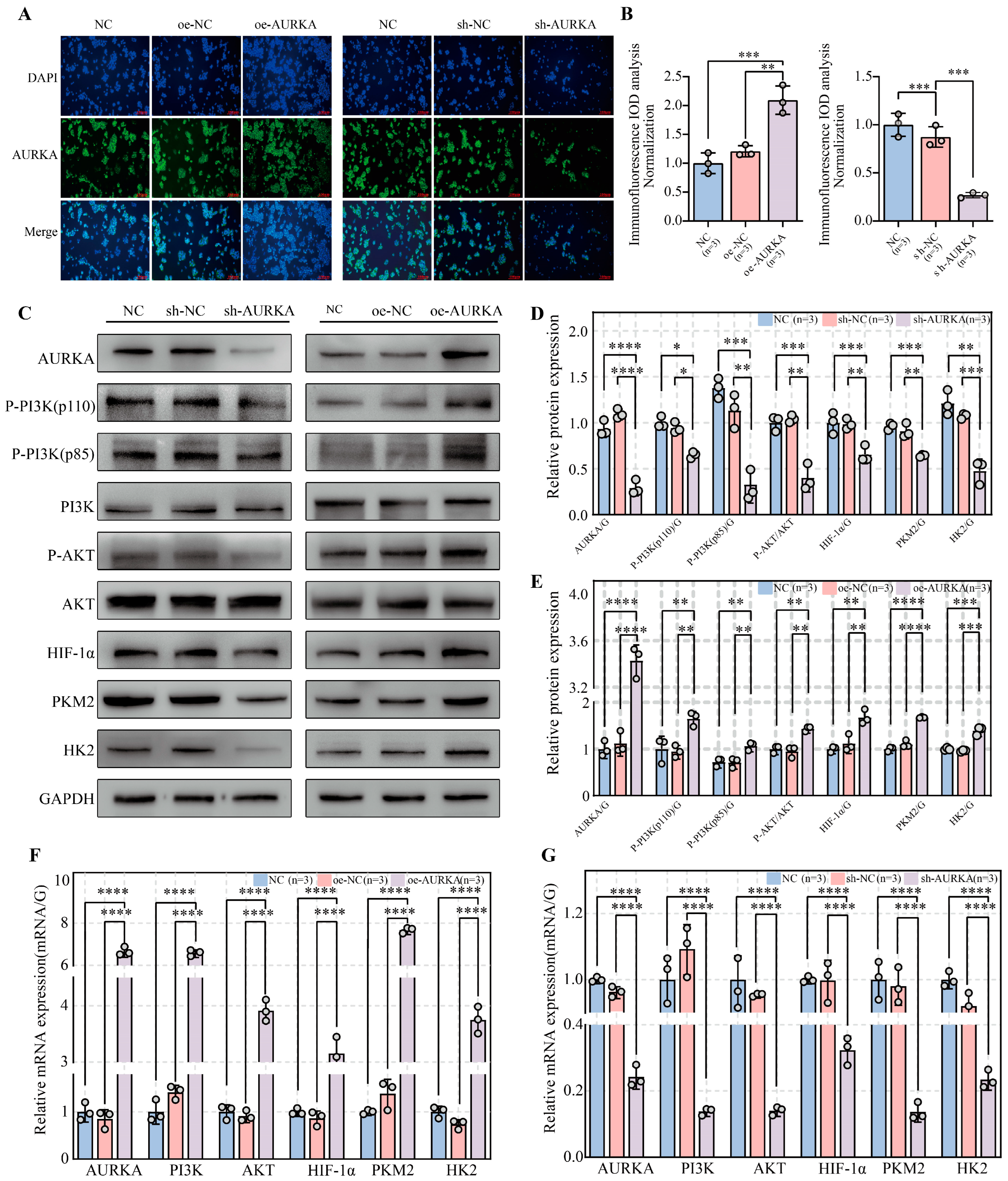 Pharmaceuticals 18 01783 g006 Pharmaceuticals 18 01783 g006