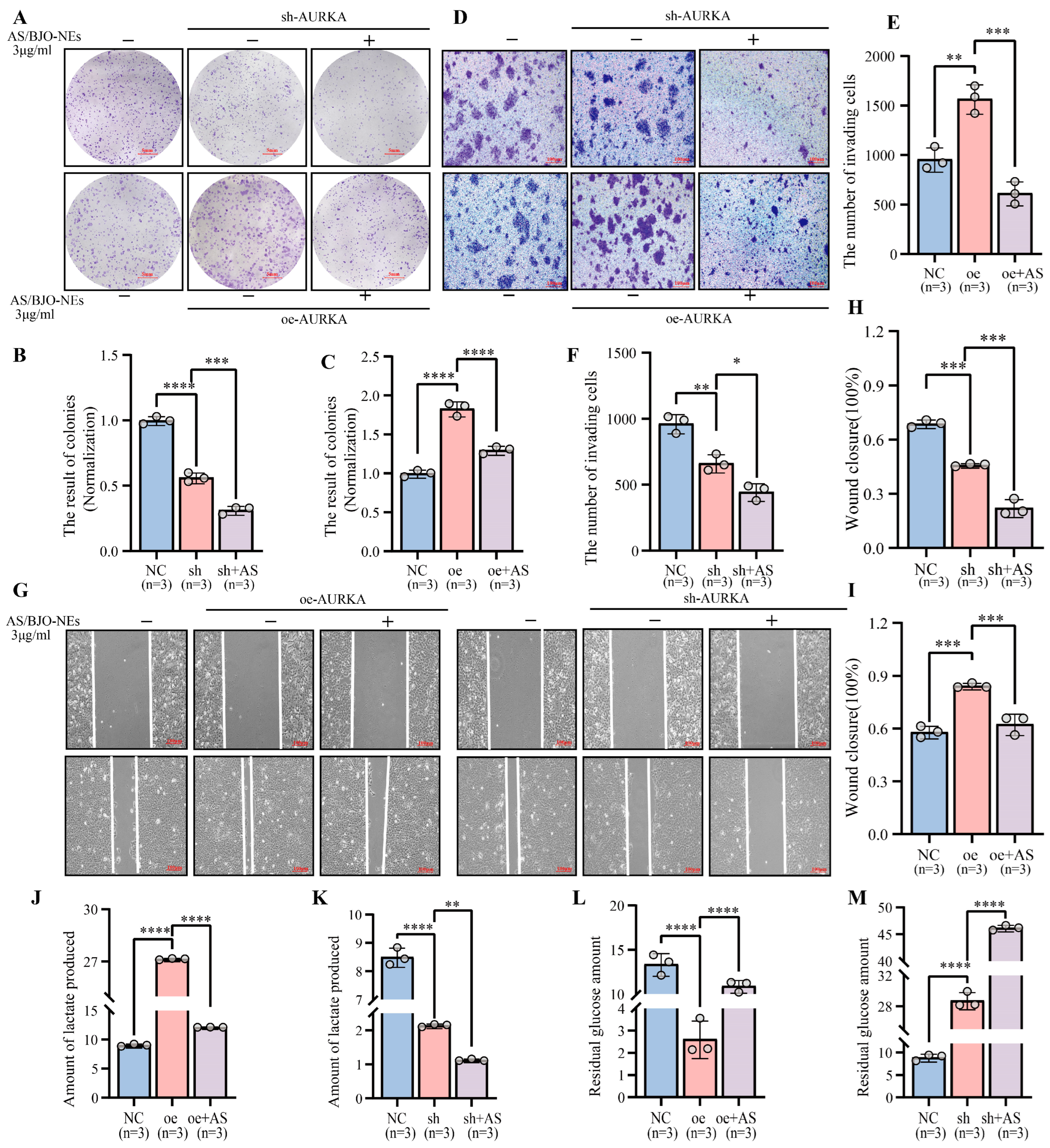 Pharmaceuticals 18 01783 g007 Pharmaceuticals 18 01783 g007