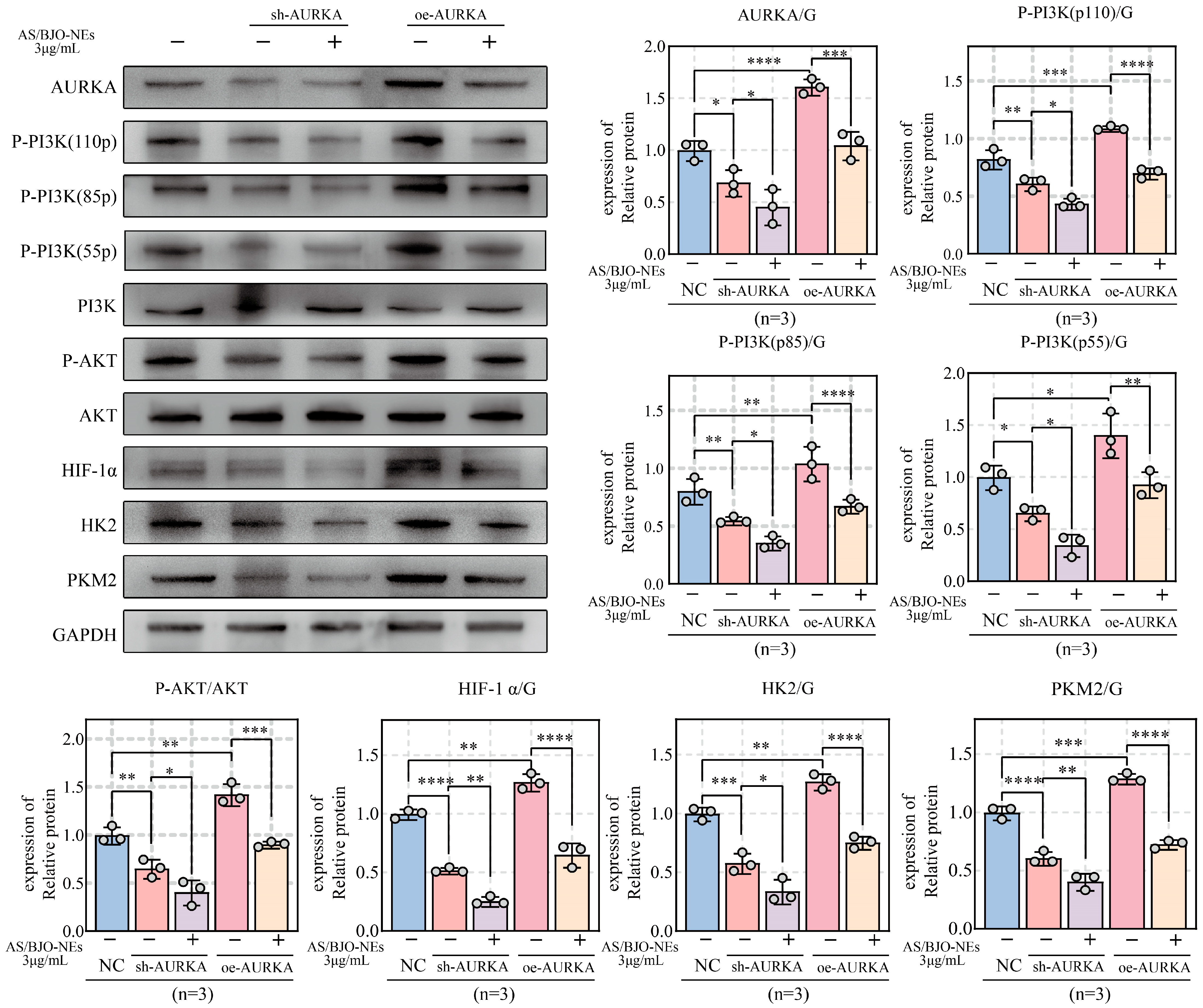 Pharmaceuticals 18 01783 g008 Pharmaceuticals 18 01783 g008