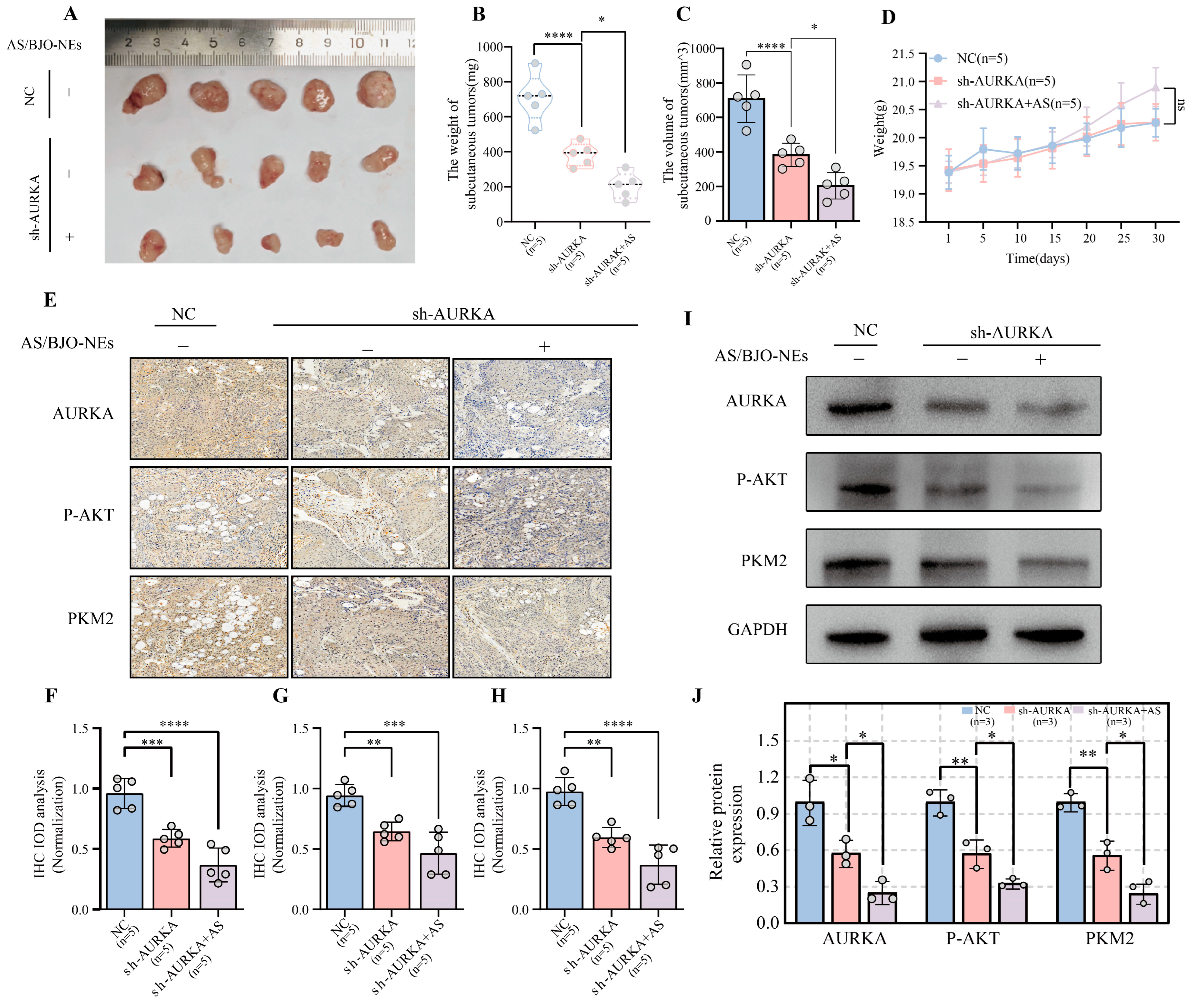 Pharmaceuticals 18 01783 g009 Pharmaceuticals 18 01783 g009