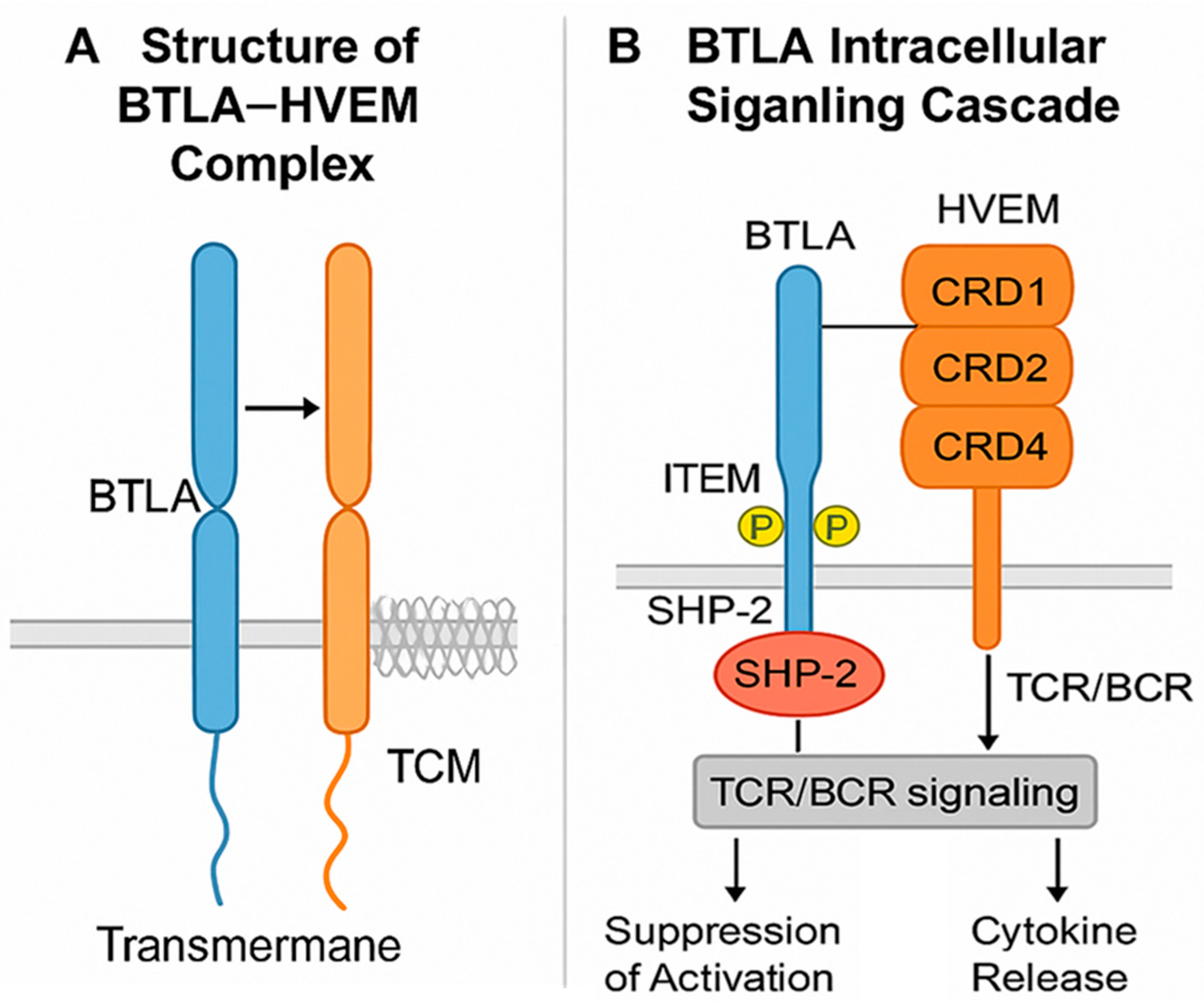 Pharmaceuticals 18 01784 g002