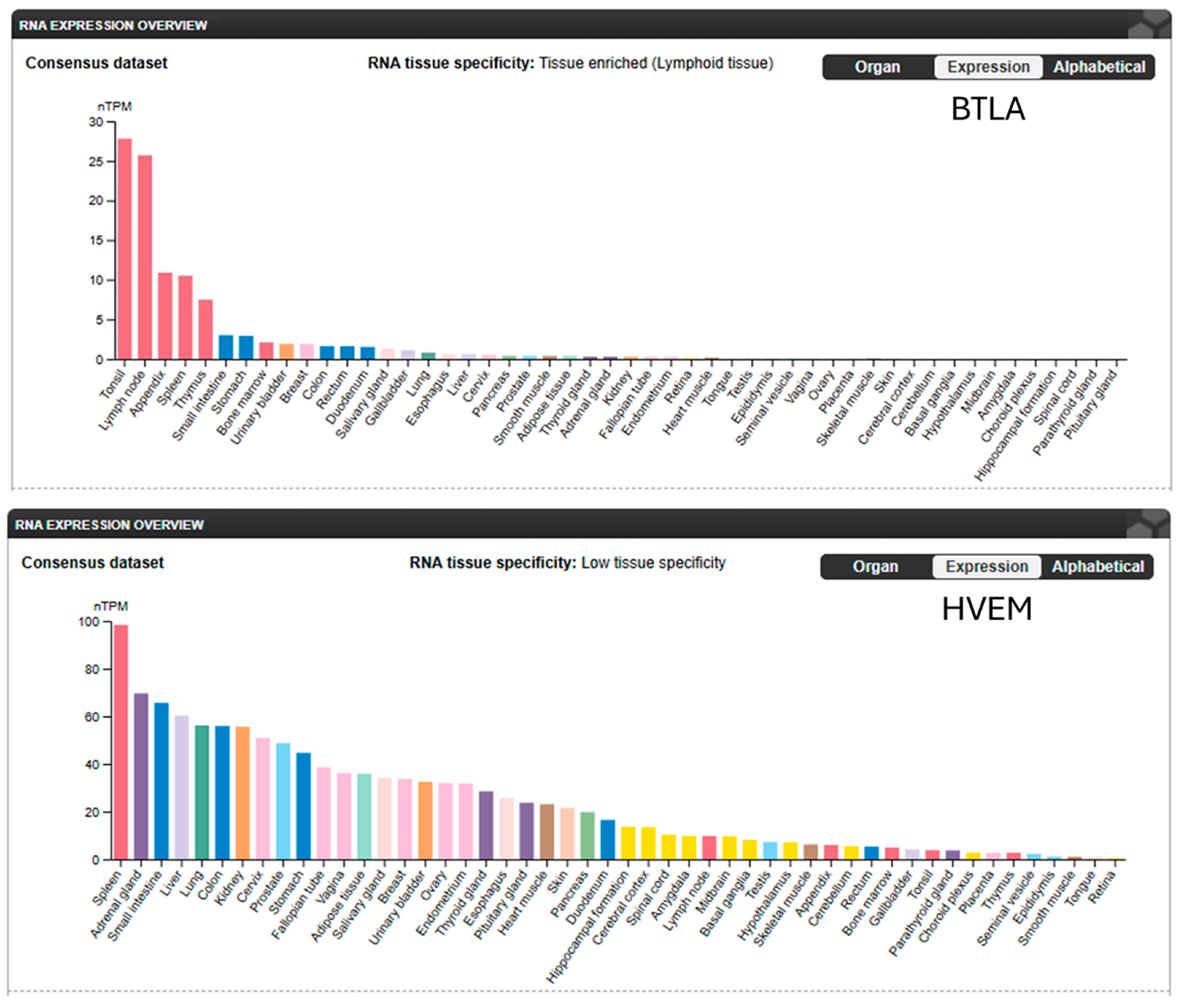 Pharmaceuticals 18 01784 g003