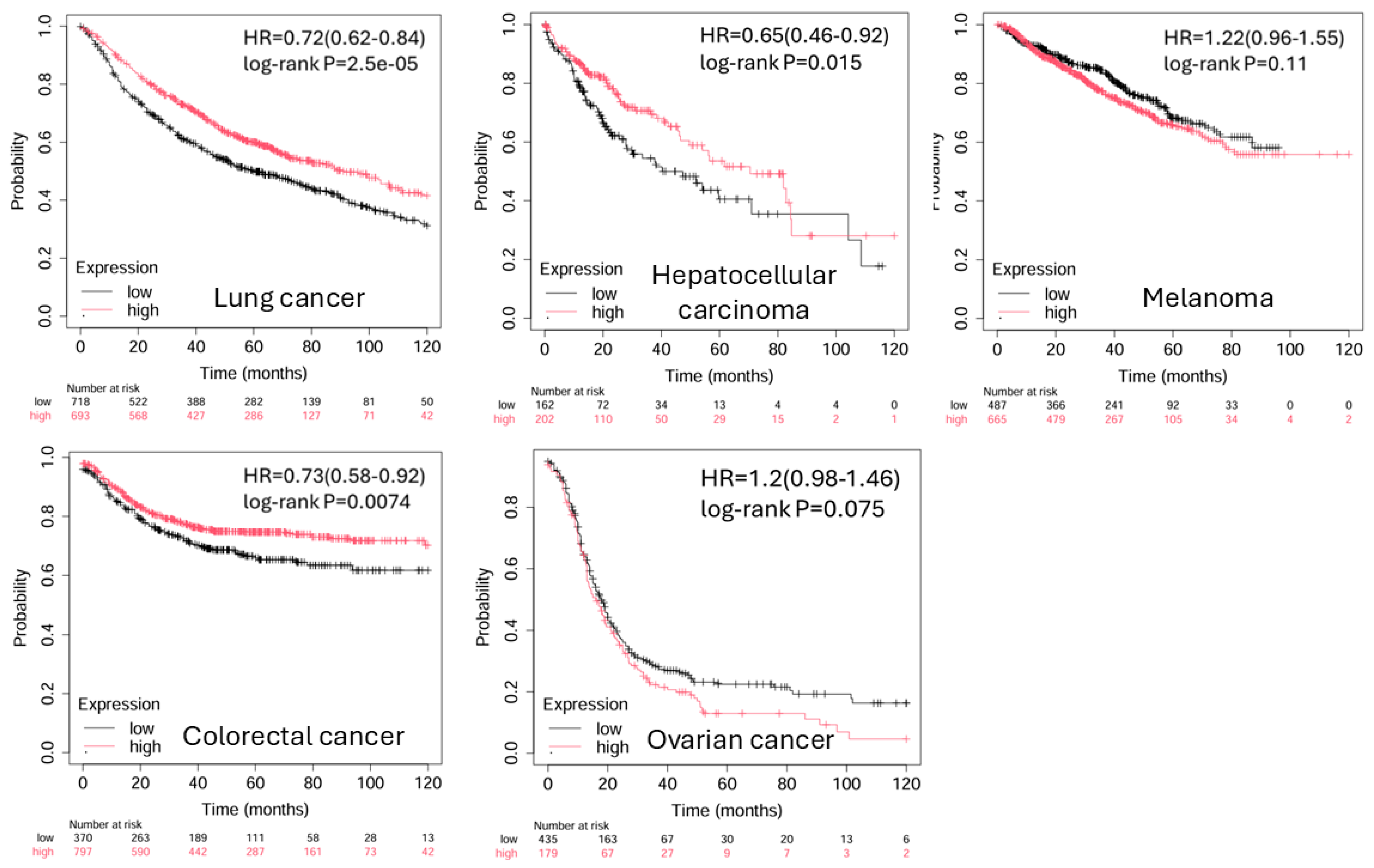 Pharmaceuticals 18 01784 g004