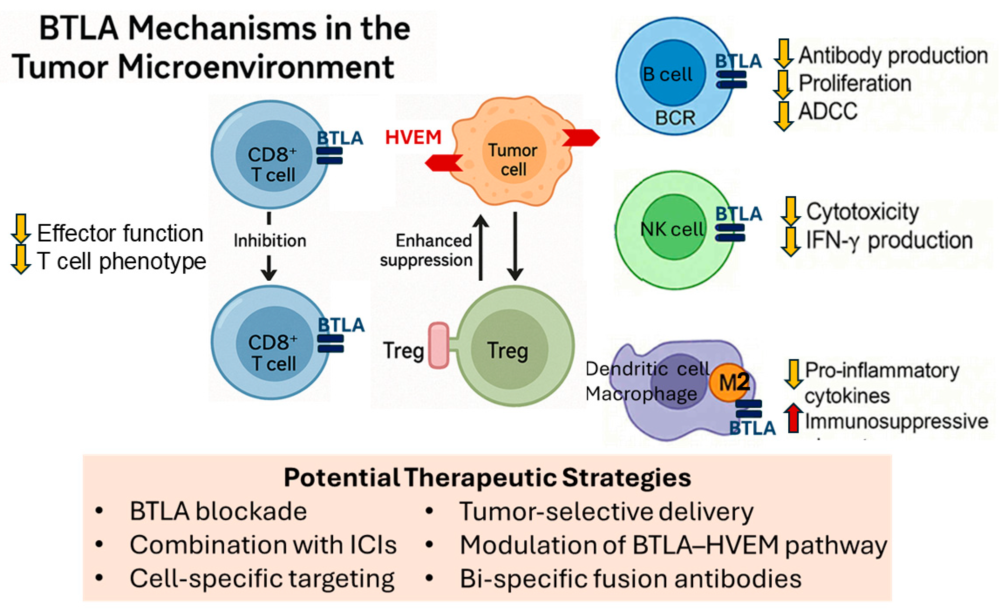 Pharmaceuticals 18 01784 g005