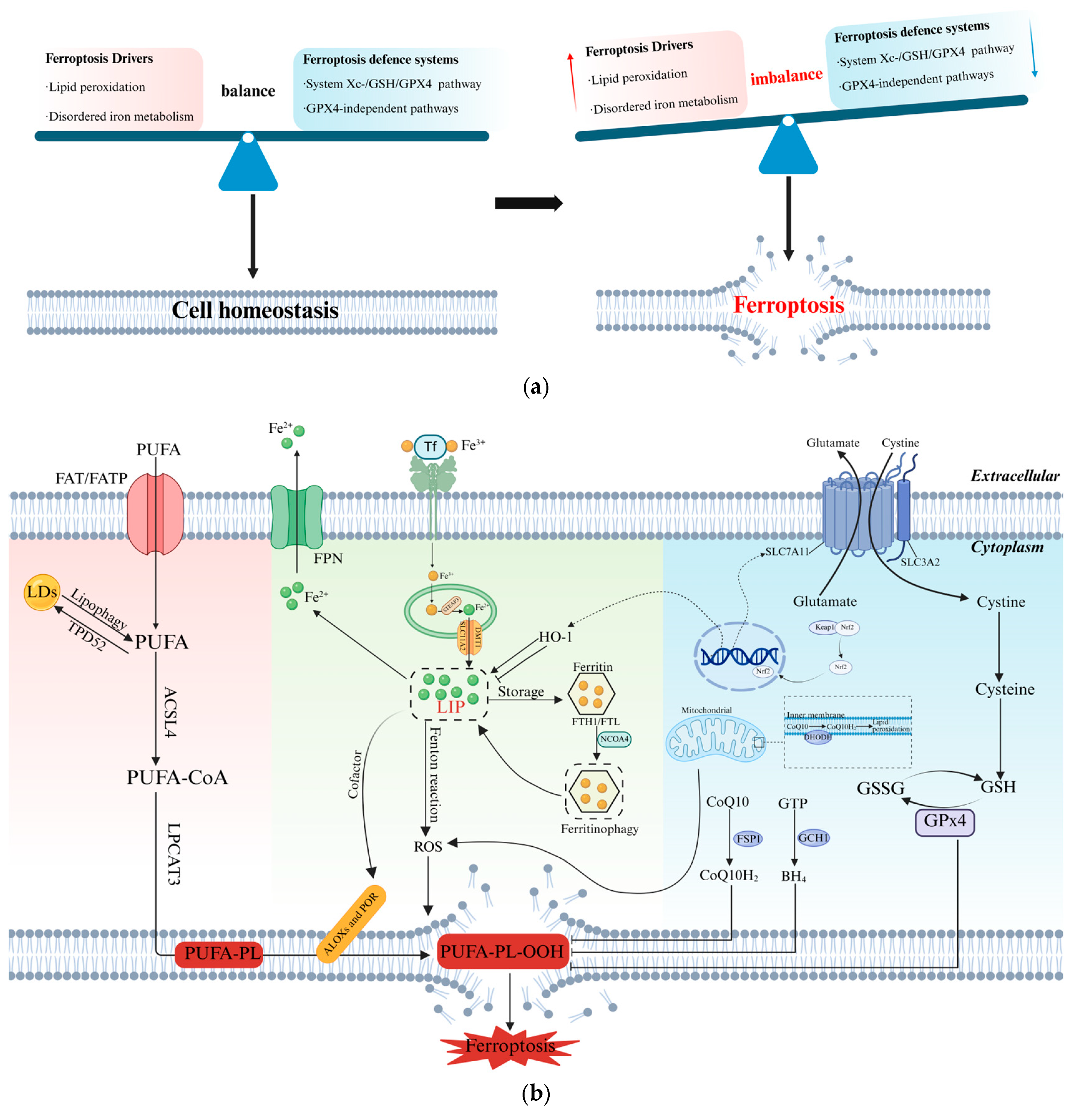 Pharmaceuticals 18 01785 g002