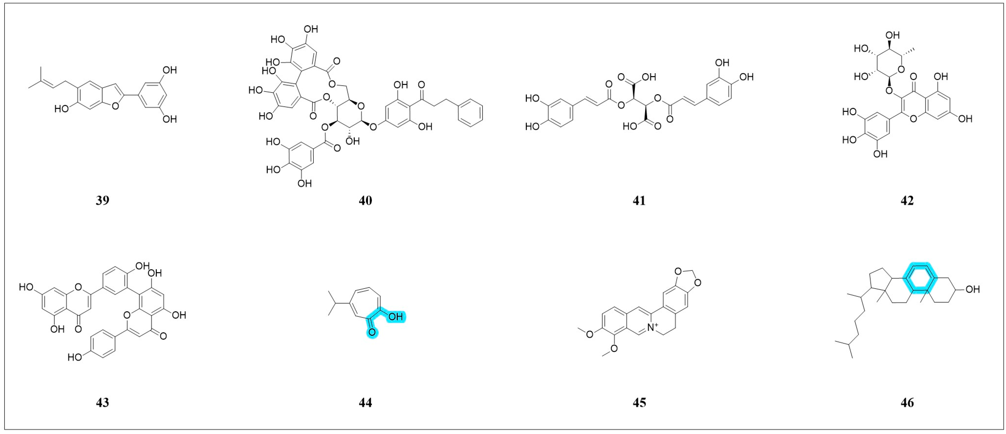 Pharmaceuticals 18 01785 g009