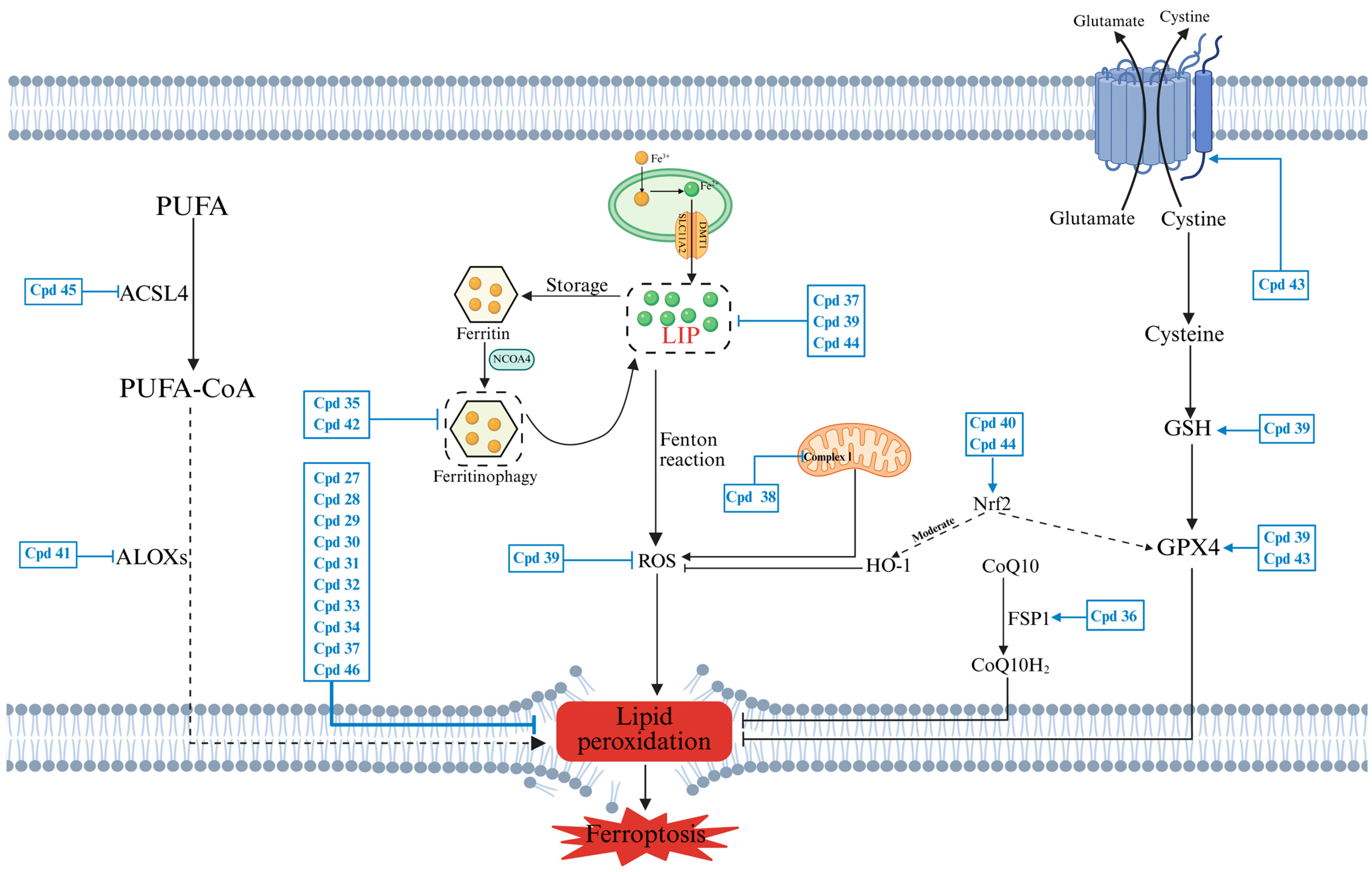 Pharmaceuticals 18 01785 g010