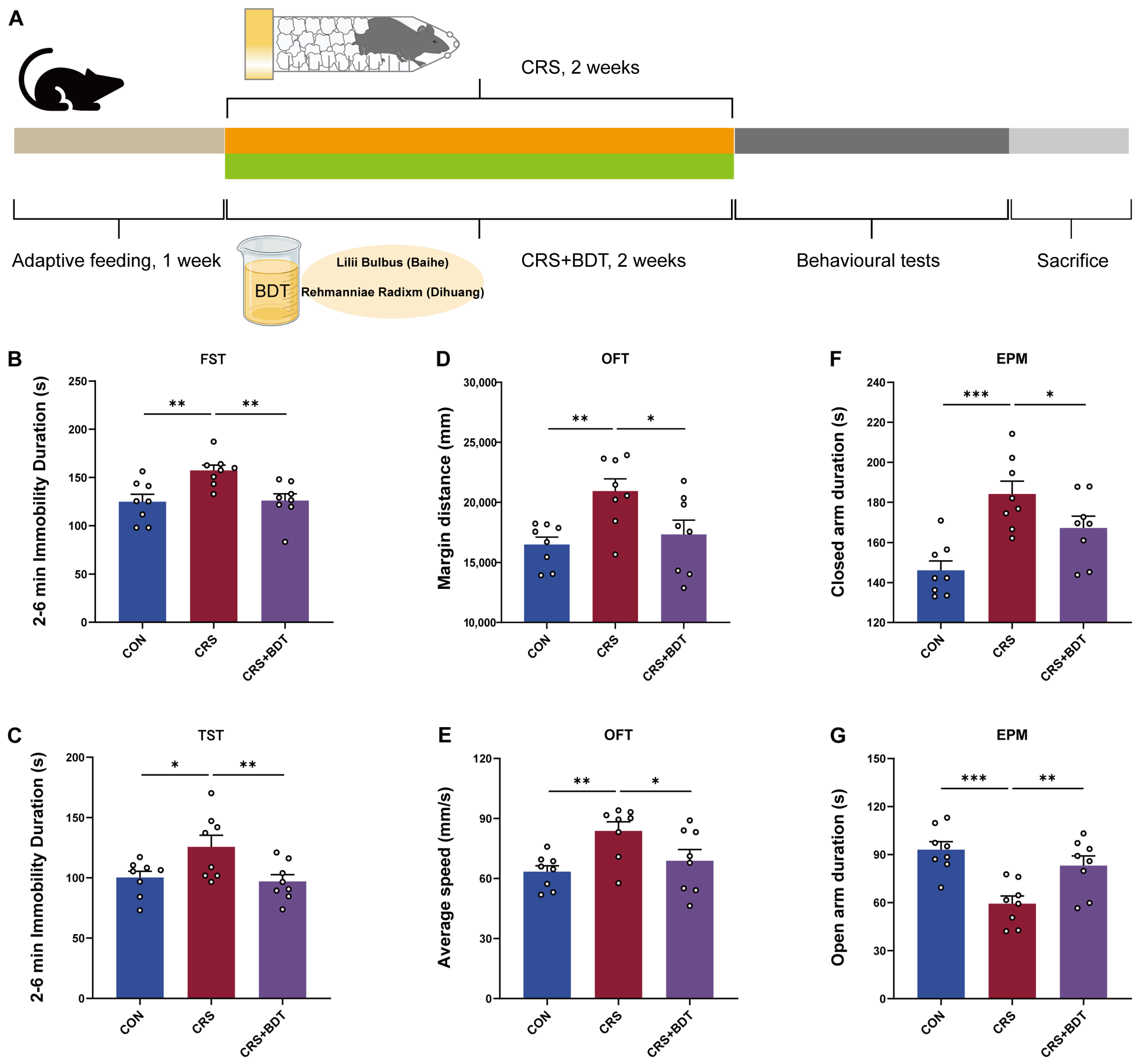 Pharmaceuticals 18 01786 g002