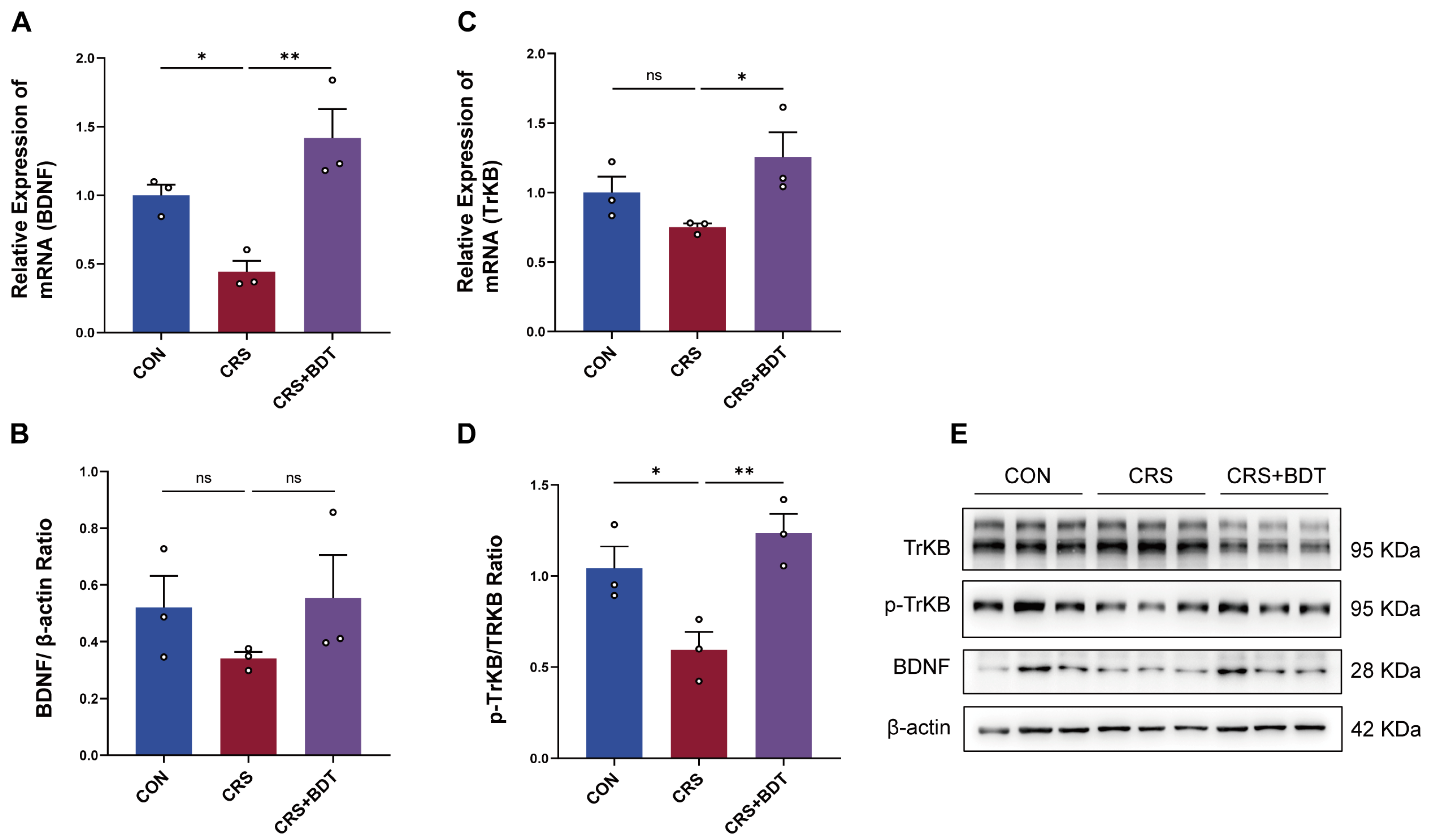 Pharmaceuticals 18 01786 g004