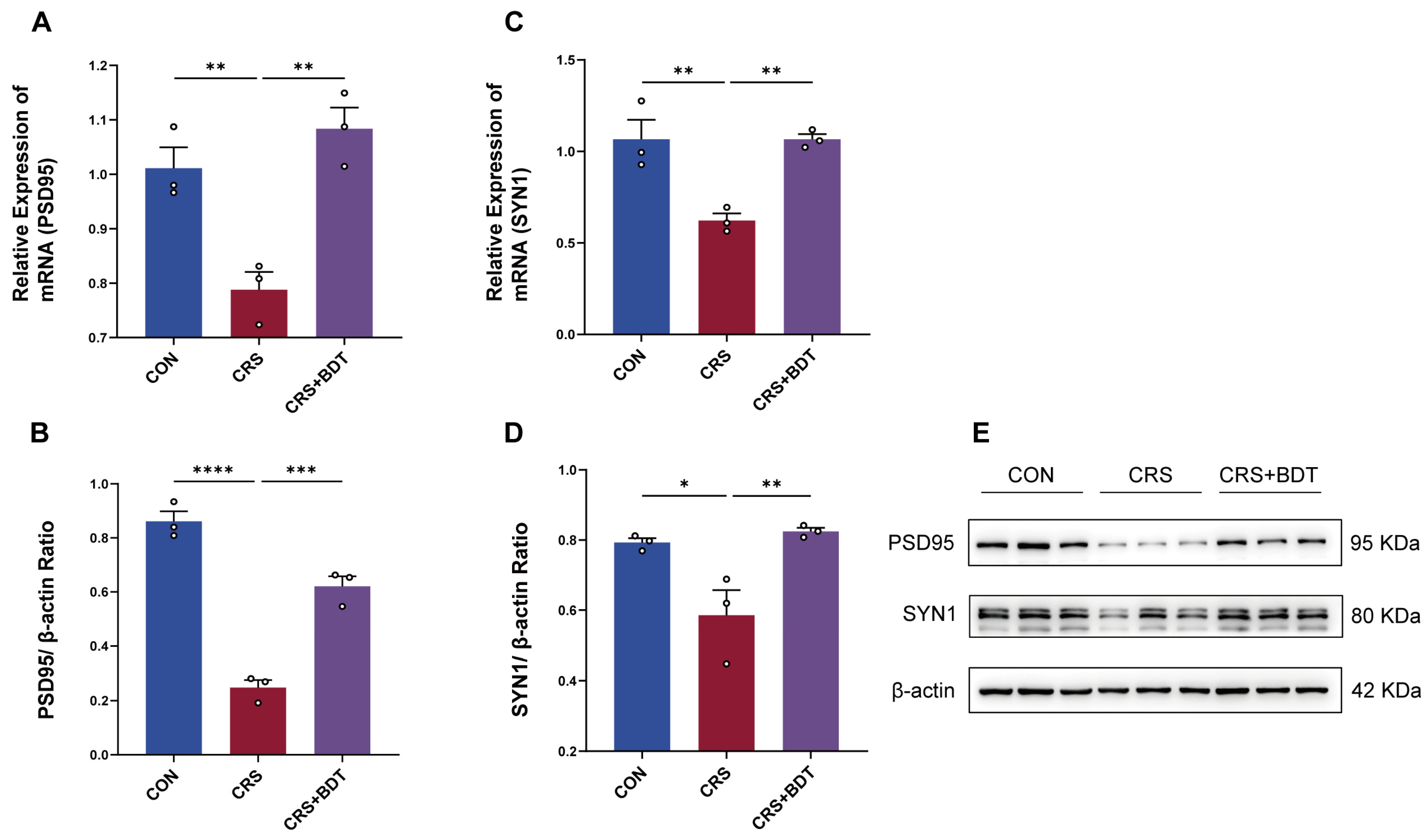 Pharmaceuticals 18 01786 g005