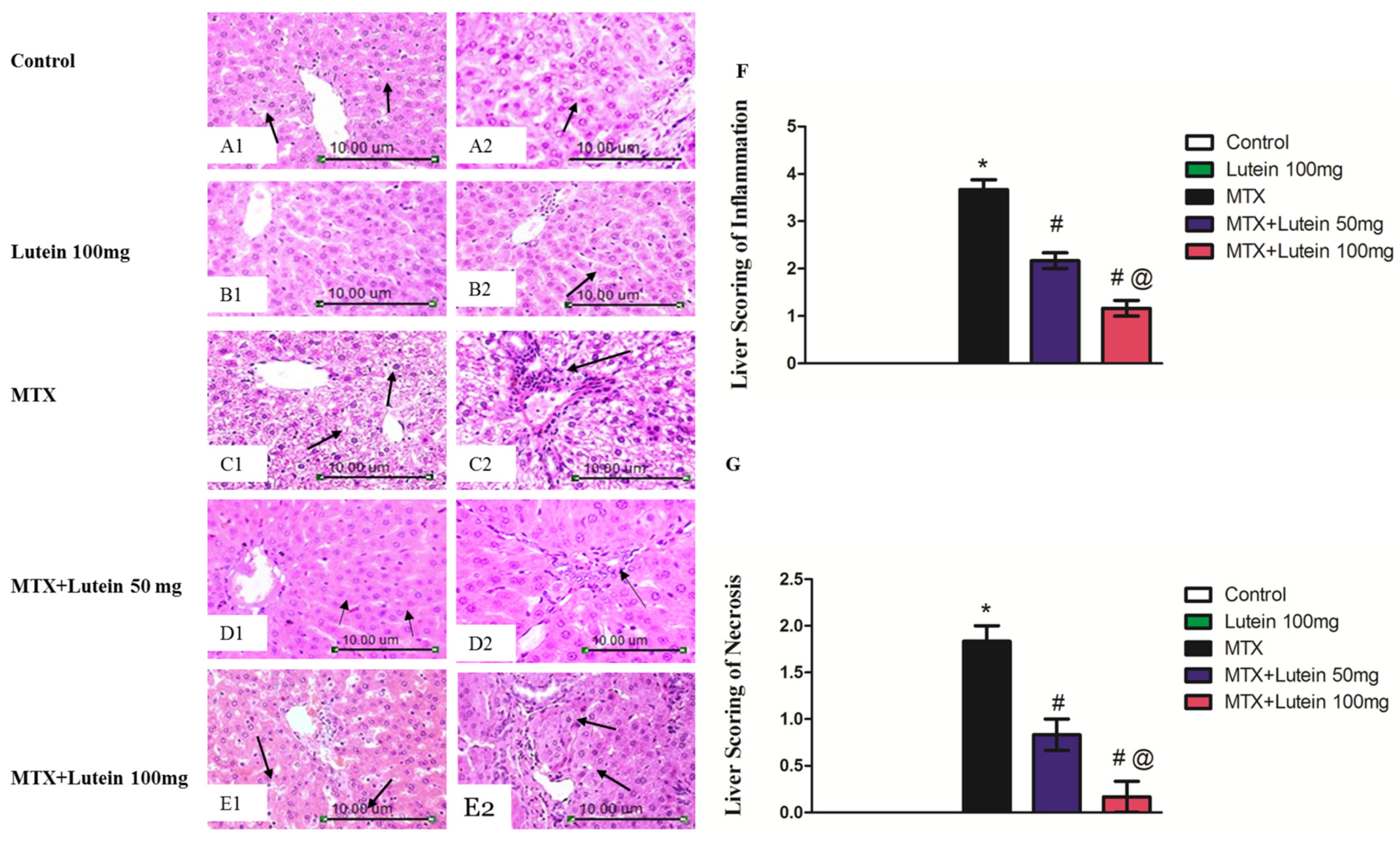 Pharmaceuticals 18 01787 g001