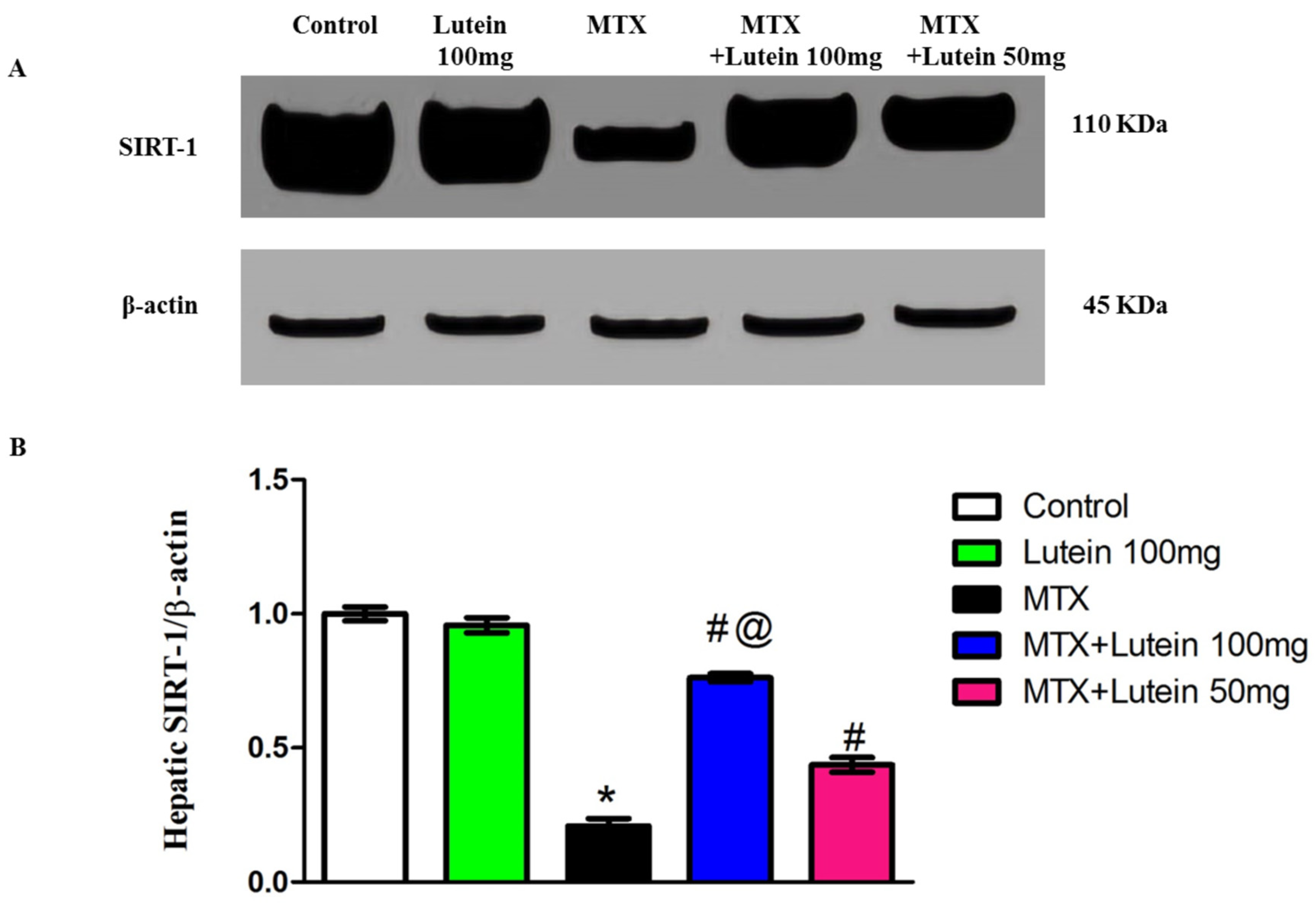 Pharmaceuticals 18 01787 g003