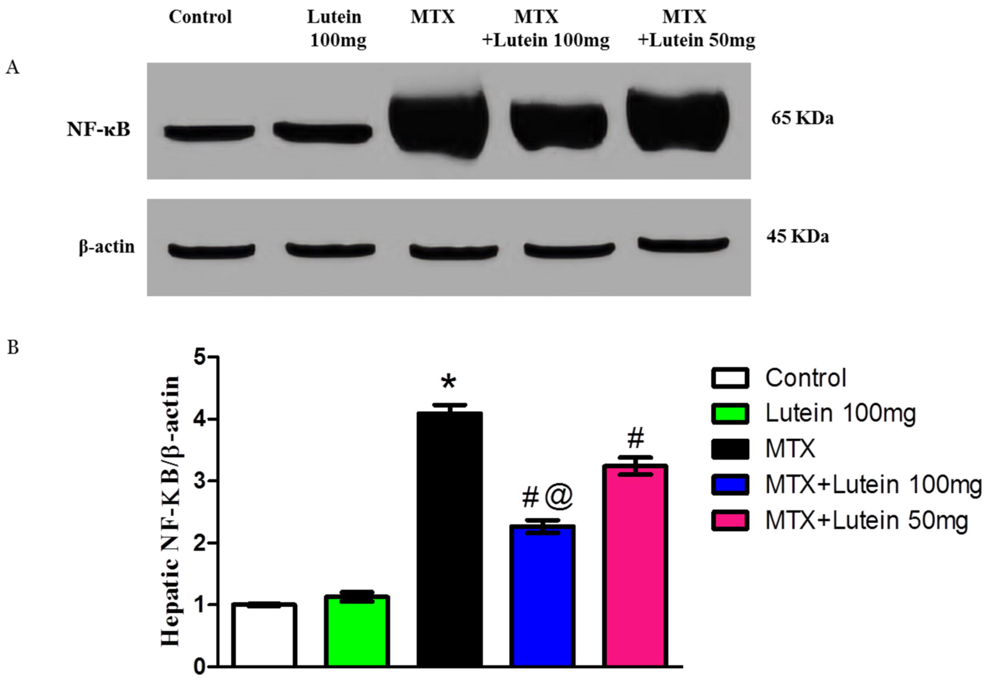 Pharmaceuticals 18 01787 g004