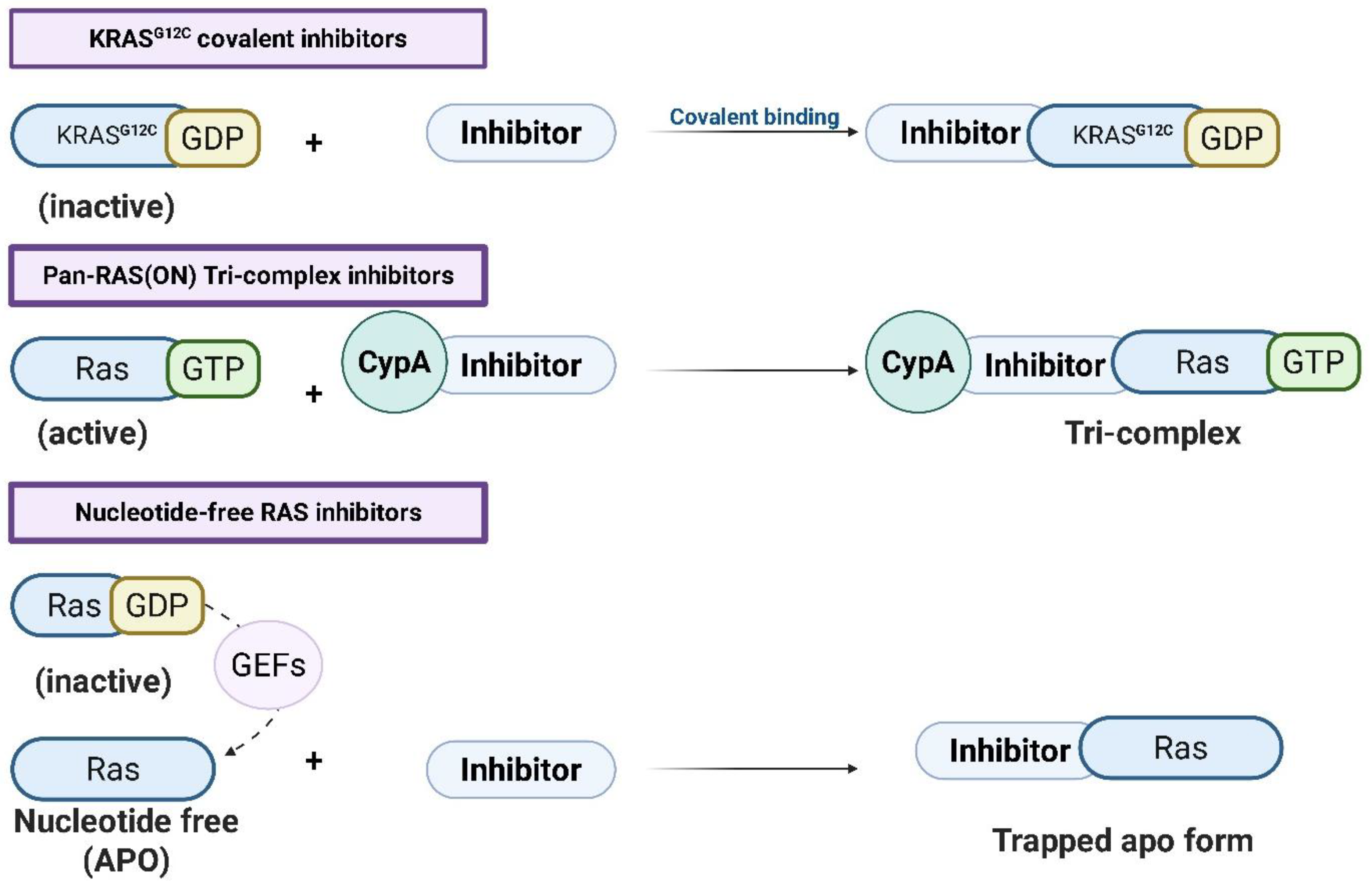 Pharmaceuticals 18 01788 g002