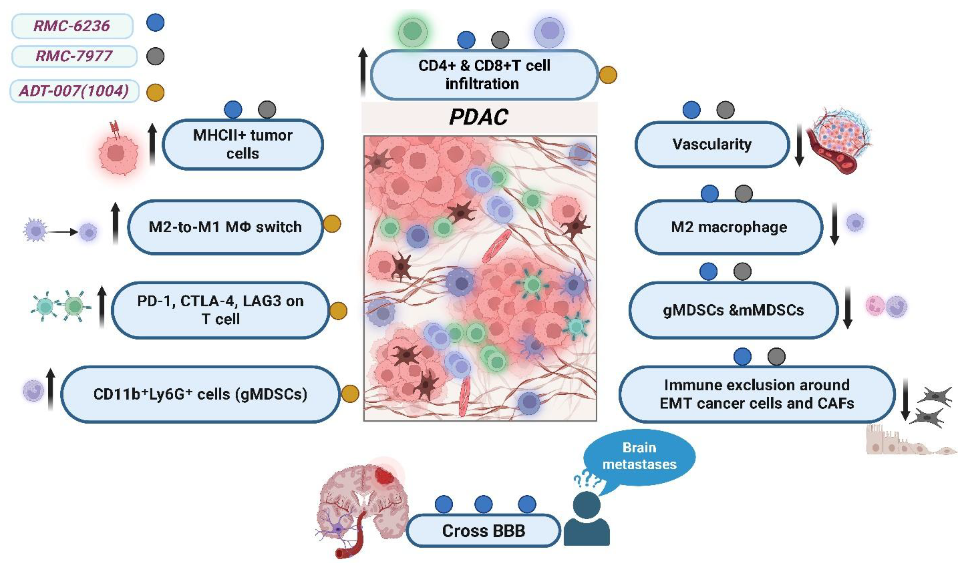 Pharmaceuticals 18 01788 g003