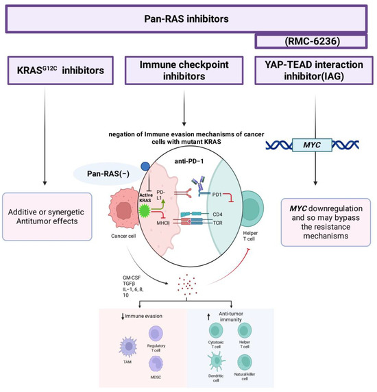 Pan Ras Inhibitor Skin Rash Broad-Spectrum RAS Inhibition in Pancreatic Ductal Adenocarcinoma ...
