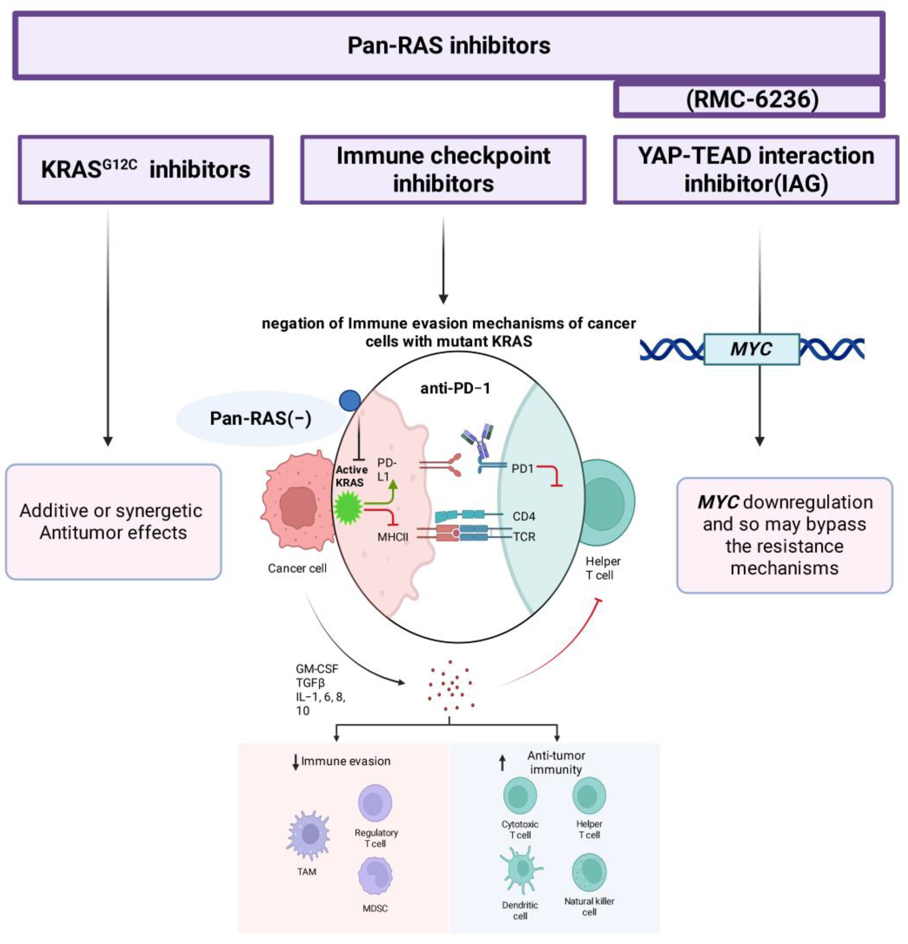 Pharmaceuticals 18 01788 g004