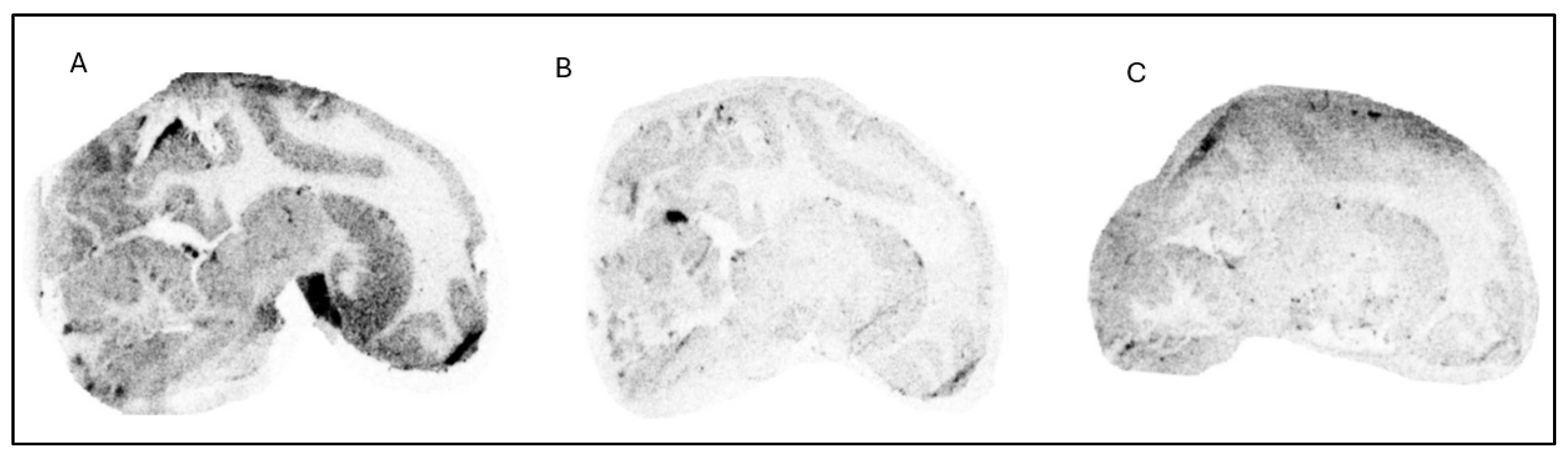 Pharmaceuticals 18 01790 g002