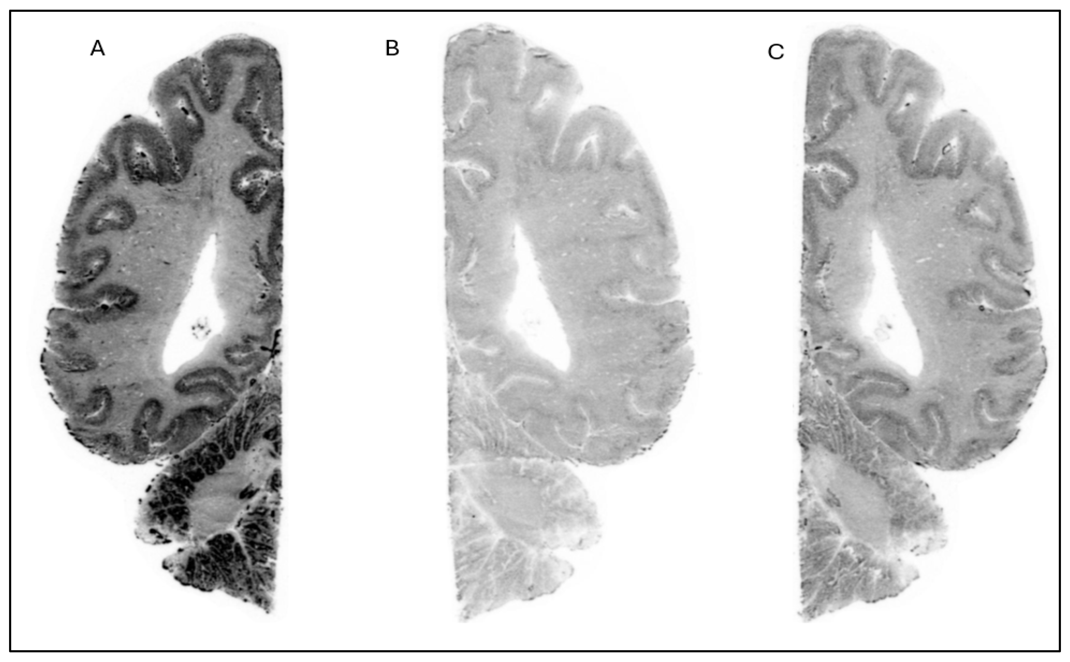 Pharmaceuticals 18 01790 g003