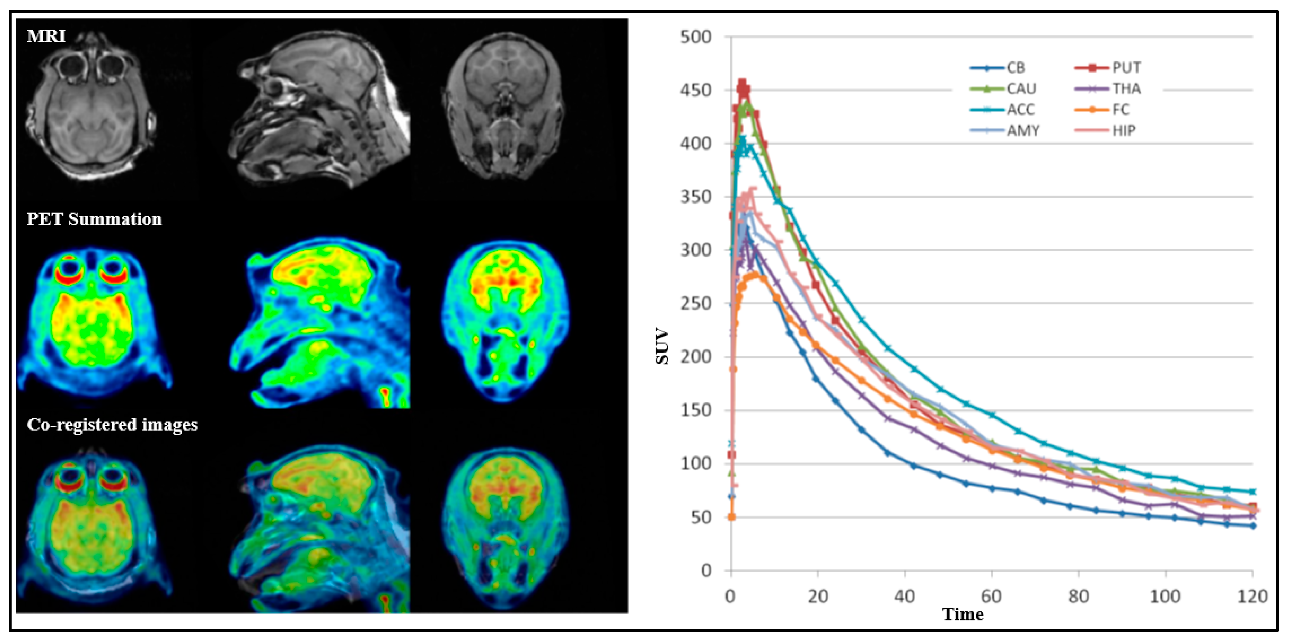 Pharmaceuticals 18 01790 g006