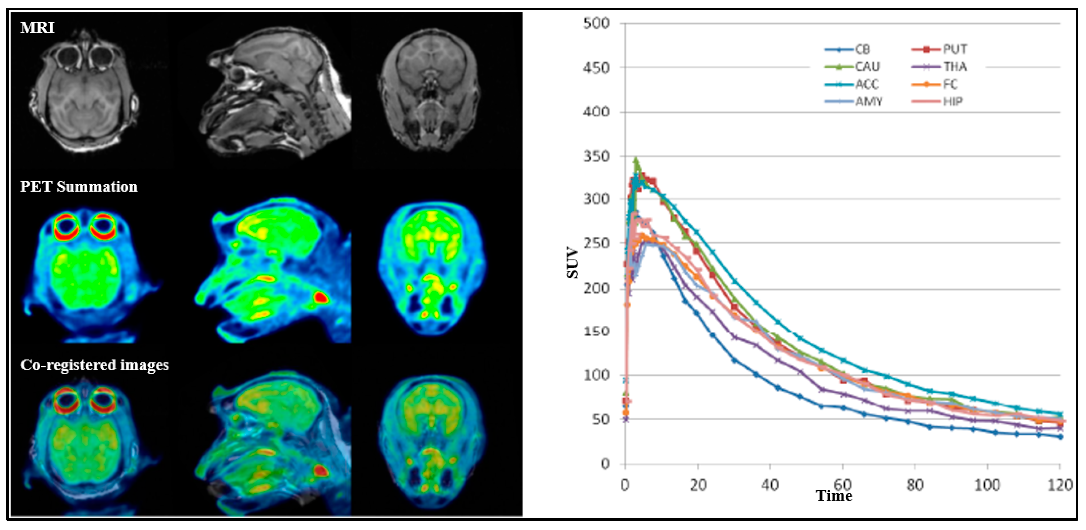 Pharmaceuticals 18 01790 g007