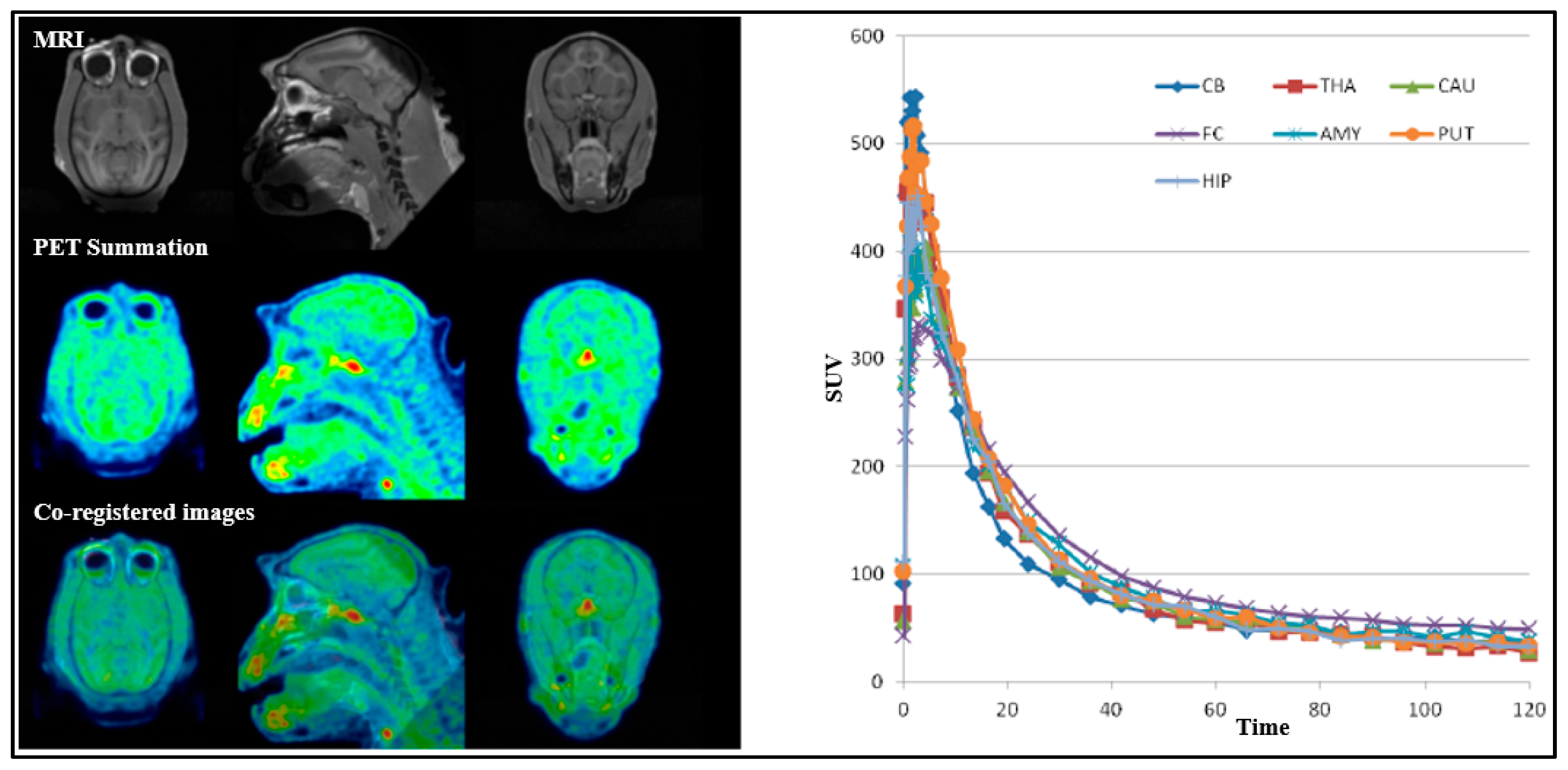 Pharmaceuticals 18 01790 g008