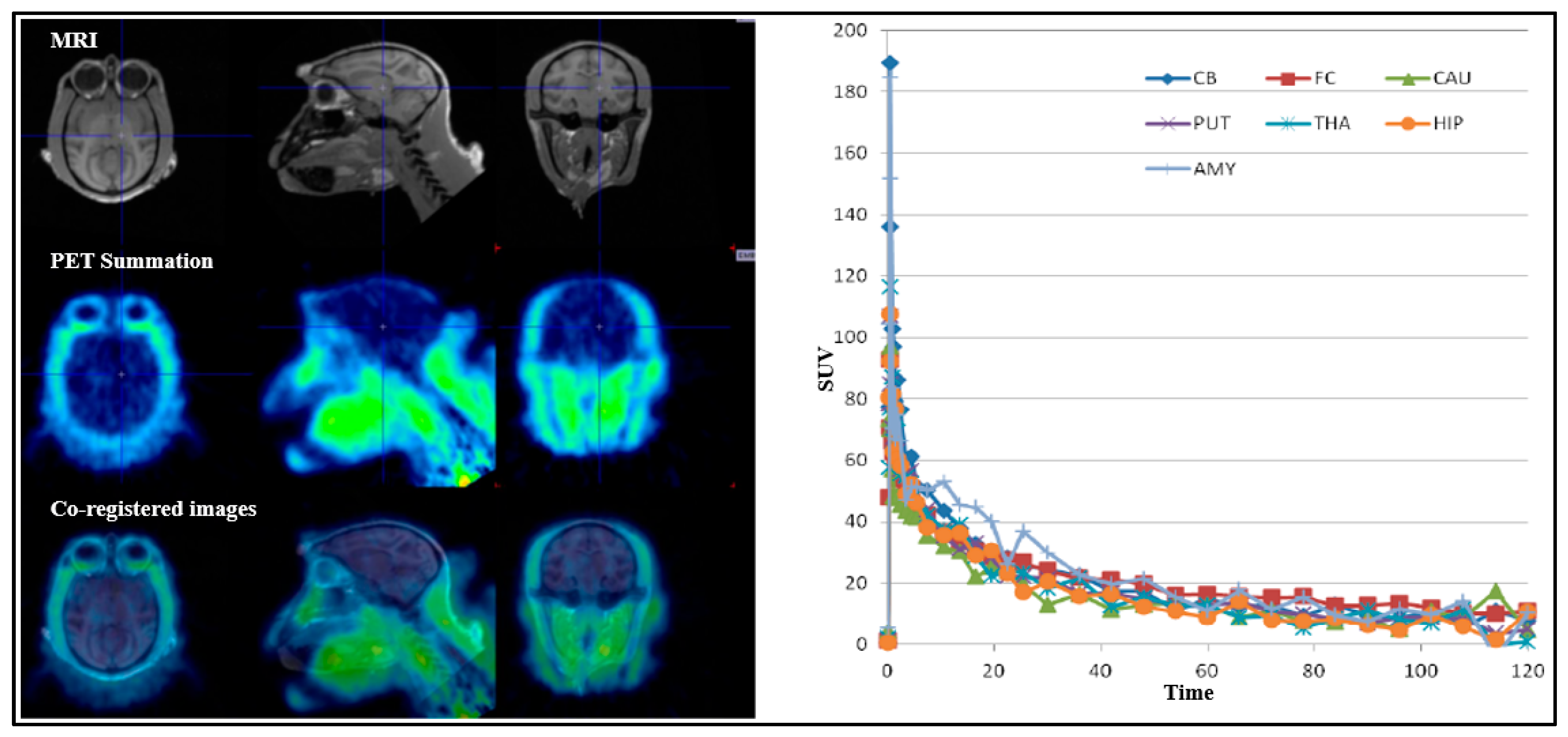 Pharmaceuticals 18 01790 g009