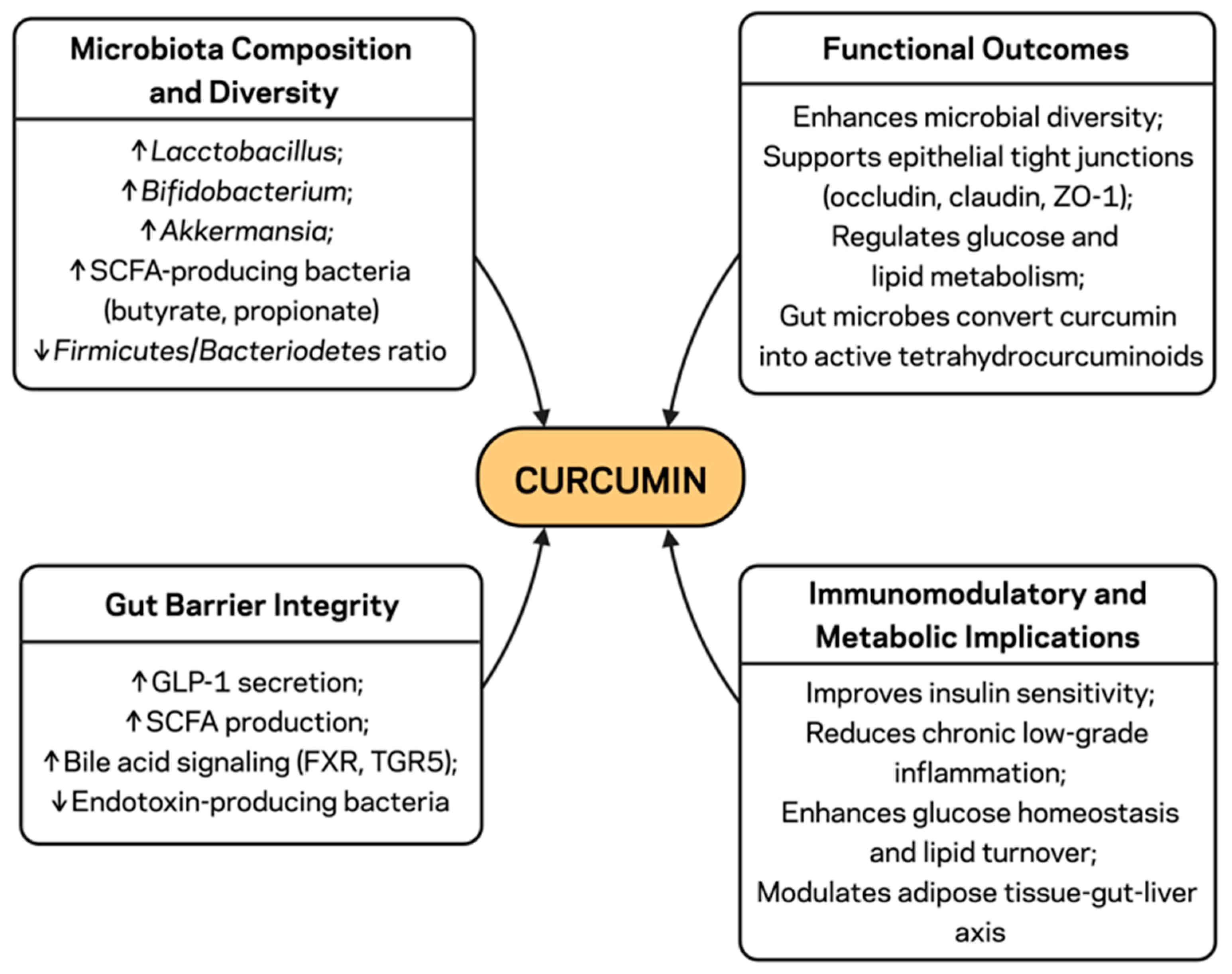 Pharmaceuticals 18 01791 g002