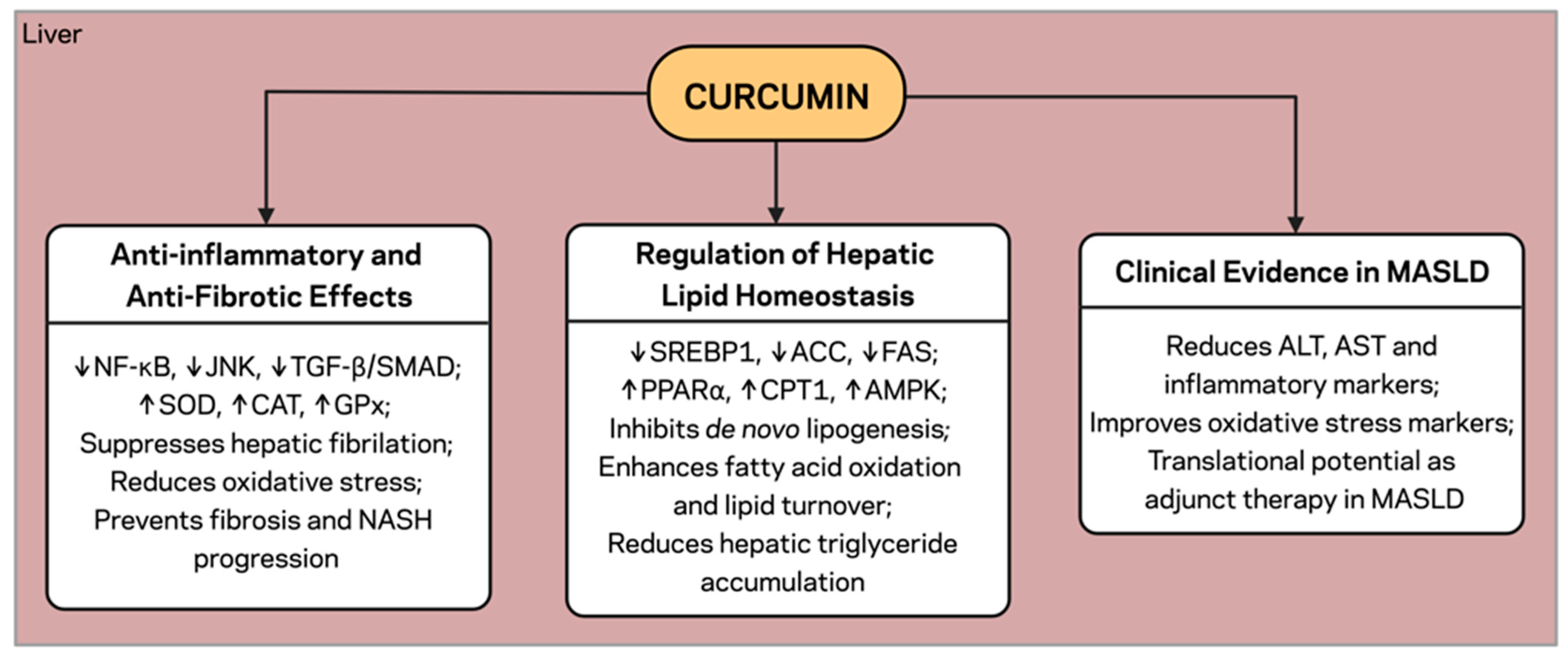 Pharmaceuticals 18 01791 g003