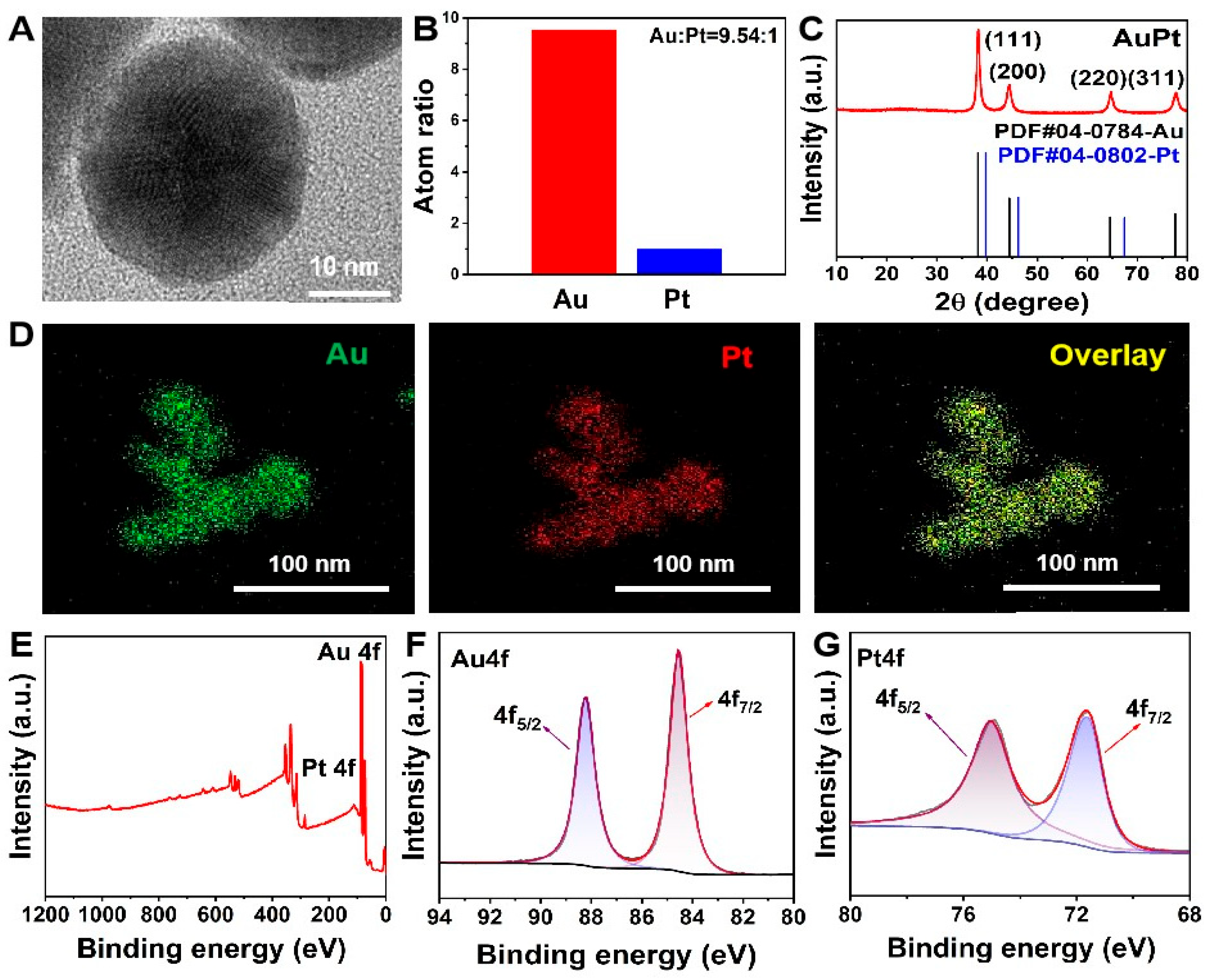 Pharmaceuticals 18 01795 g001 Pharmaceuticals 18 01795 g001