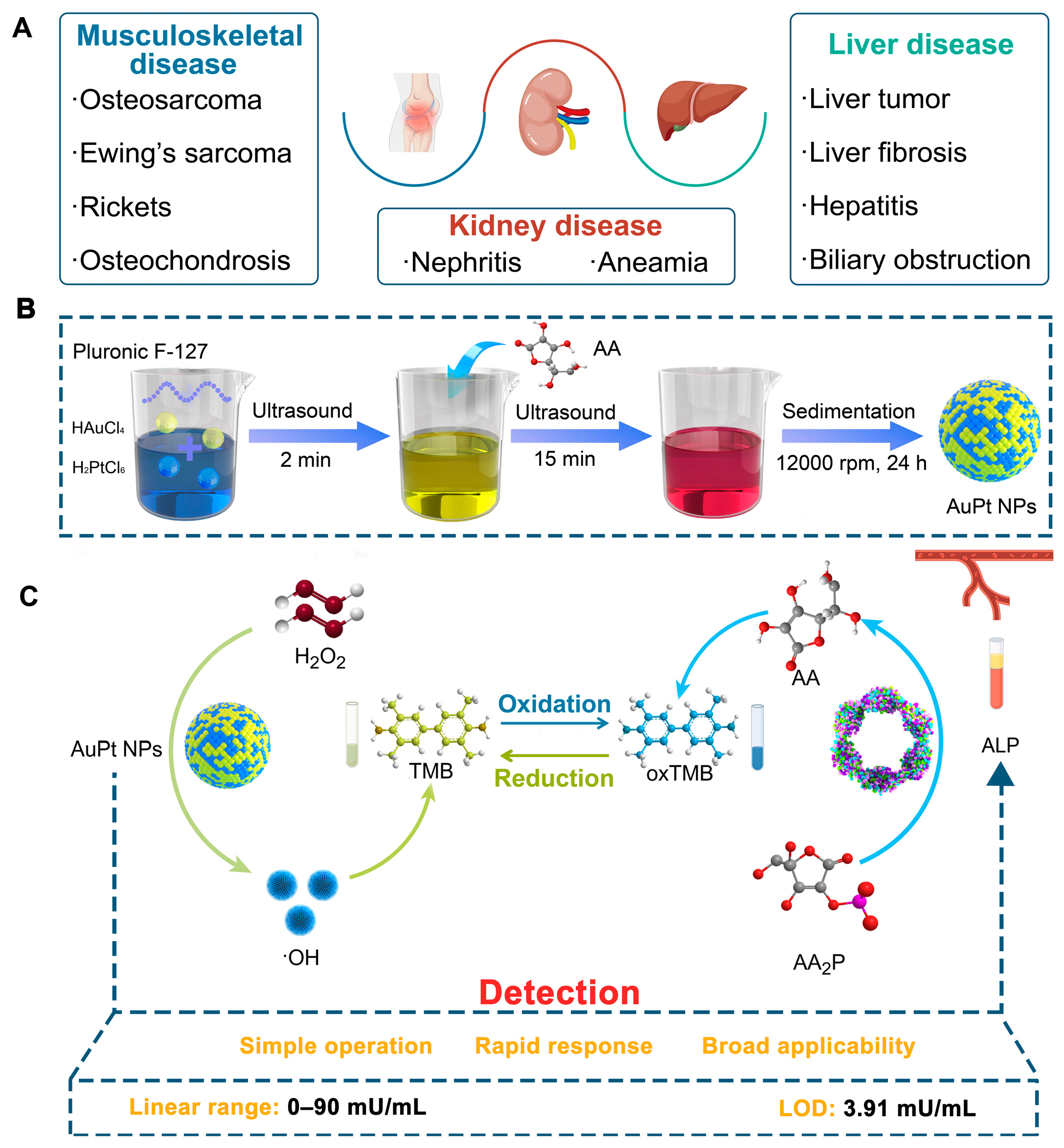 Pharmaceuticals 18 01795 sch001 Pharmaceuticals 18 01795 sch001