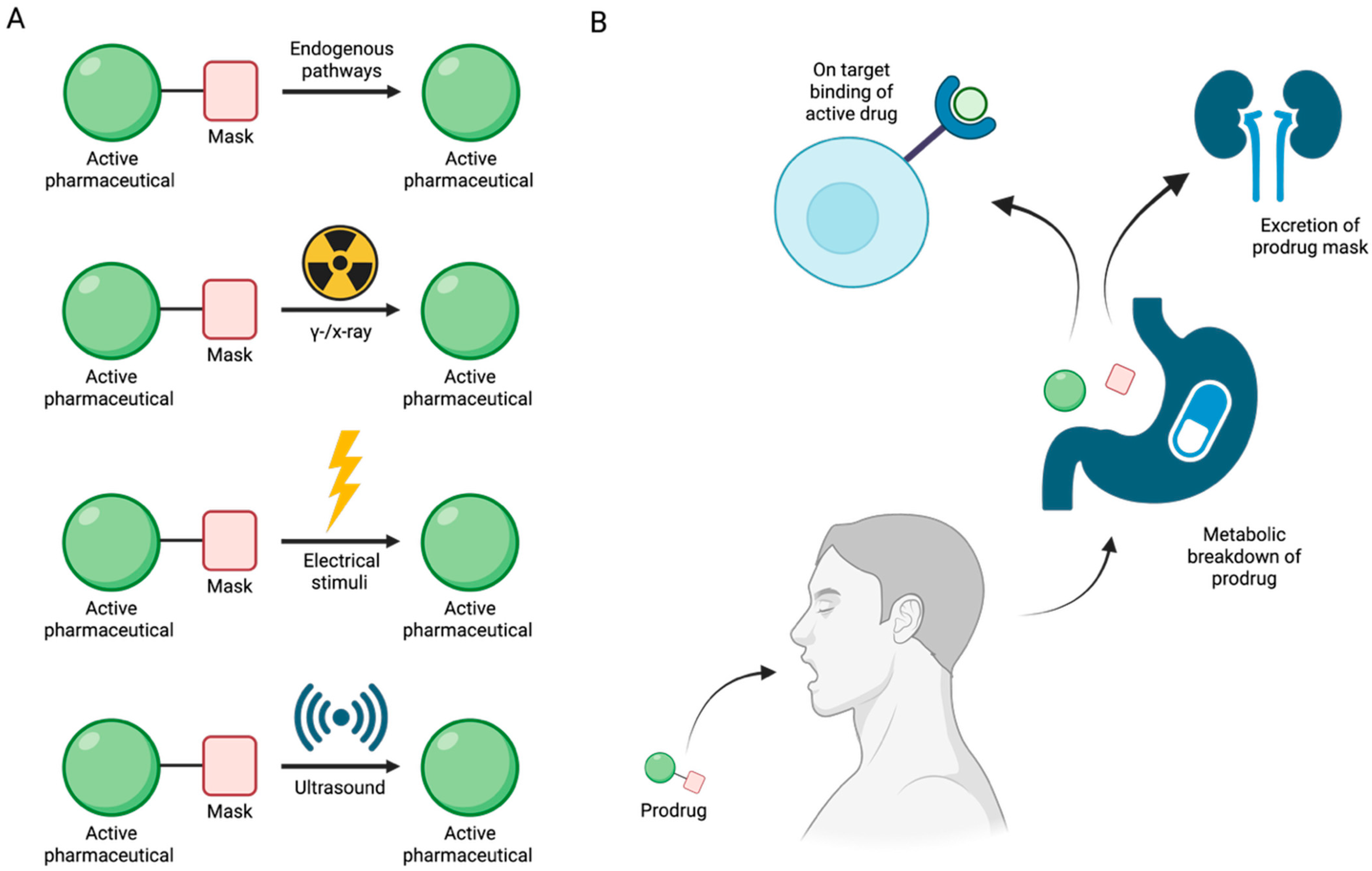 Pharmaceuticals 18 01798 g015