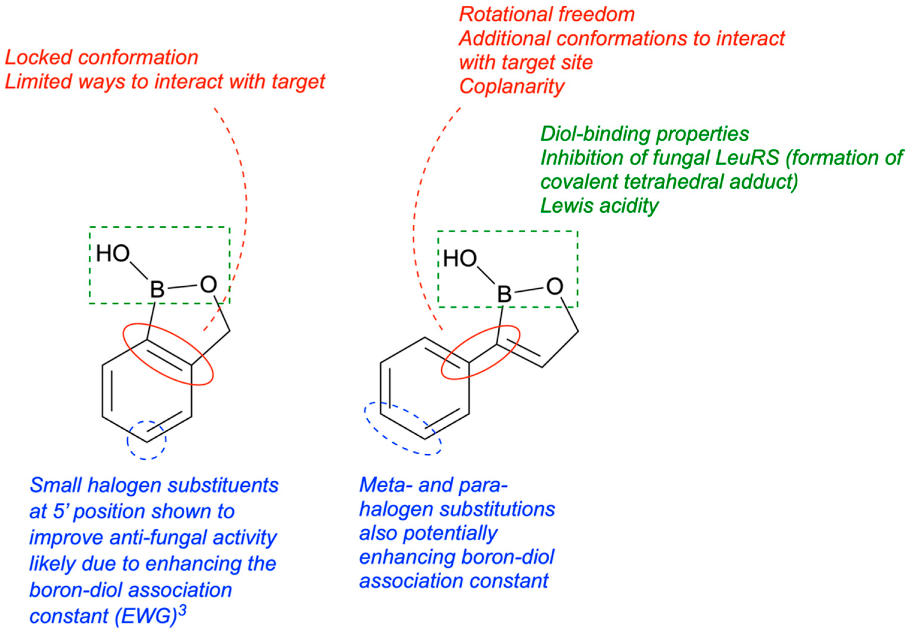 Pharmaceuticals 18 01798 g022