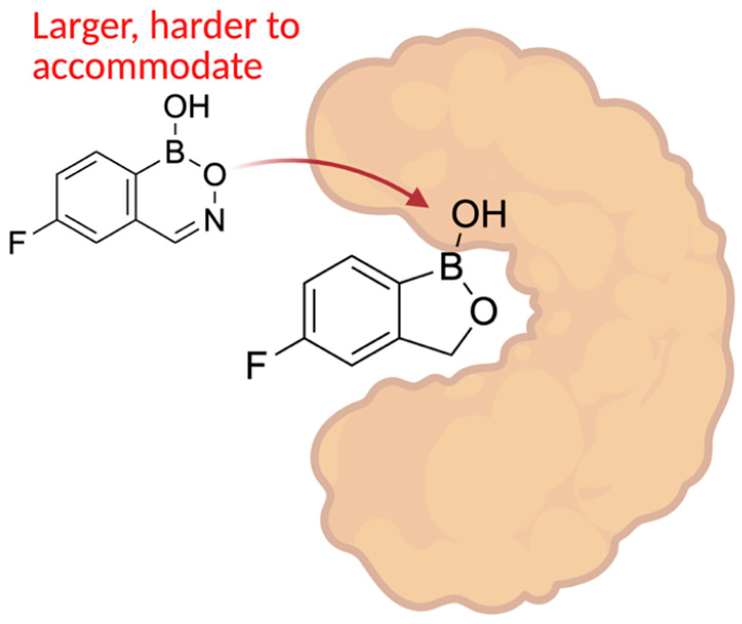 Pharmaceuticals 18 01798 g030