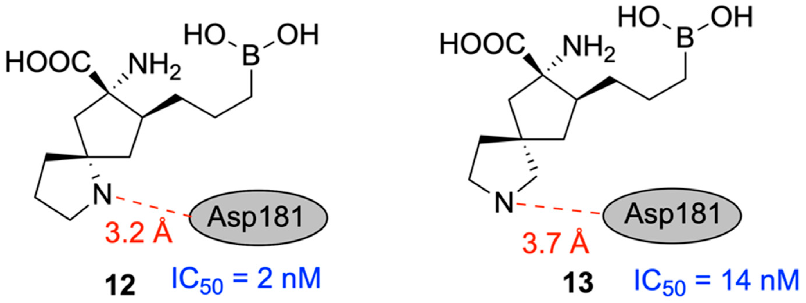 Pharmaceuticals 18 01798 g033