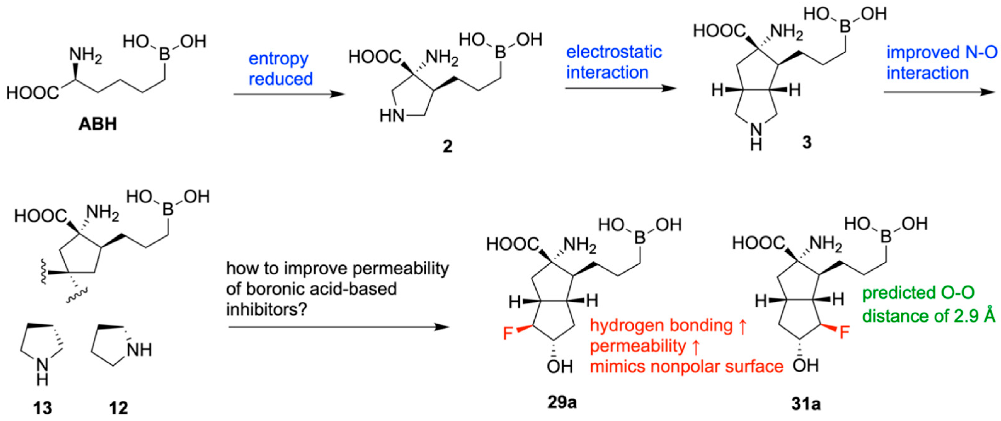 Pharmaceuticals 18 01798 g034
