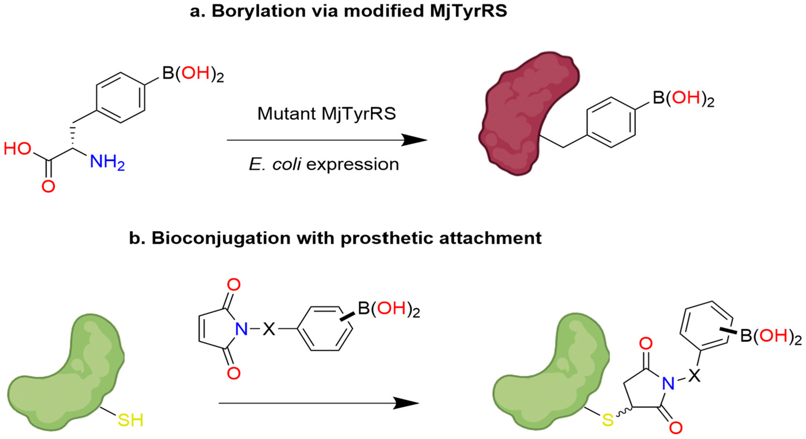 Pharmaceuticals 18 01798 g039