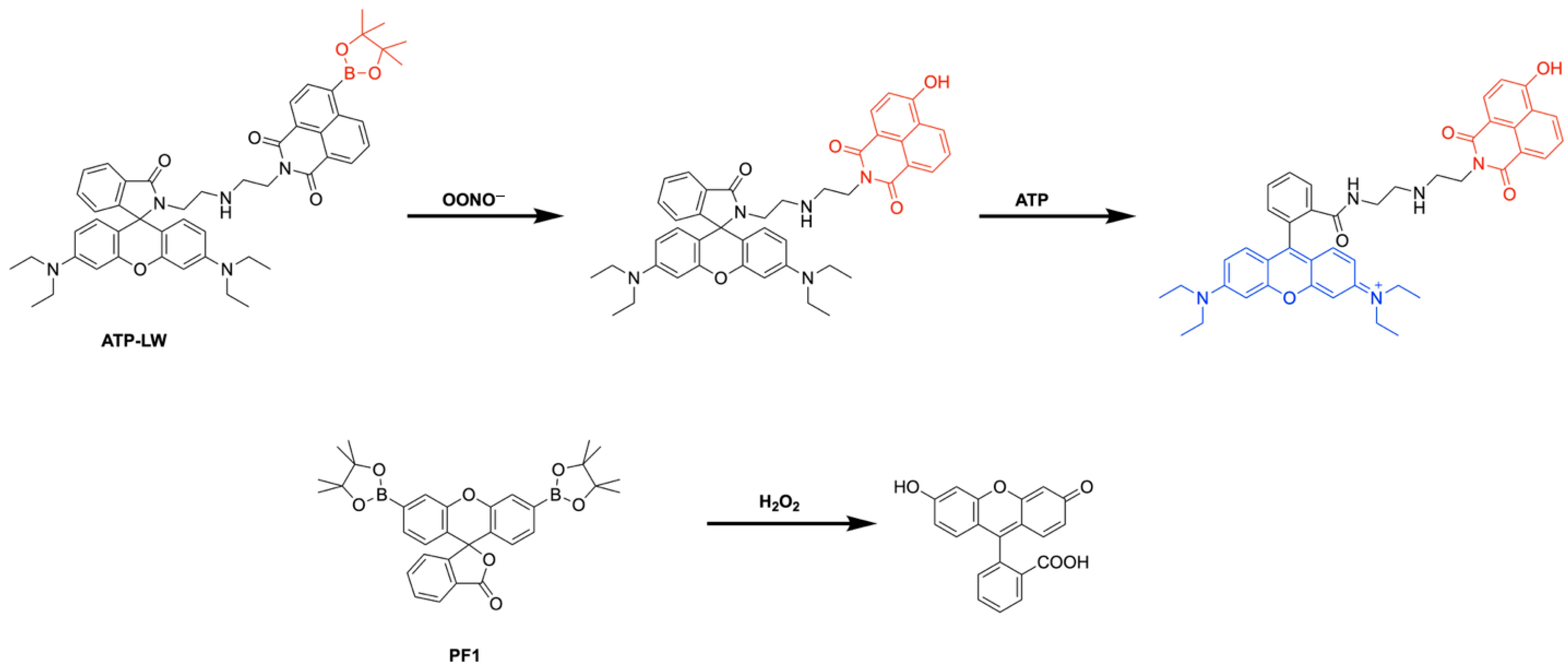 Pharmaceuticals 18 01798 g042